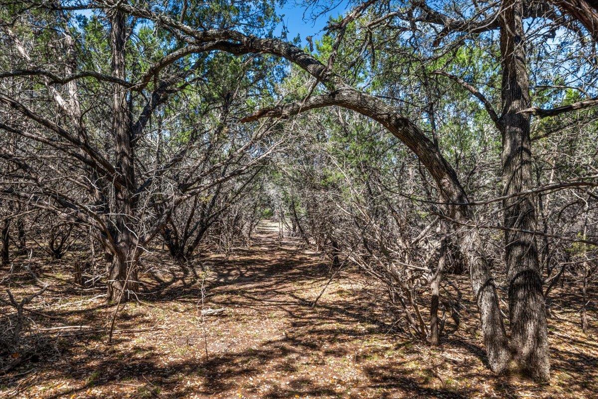 25723 Hamilton Pool Rd Property Photo 25