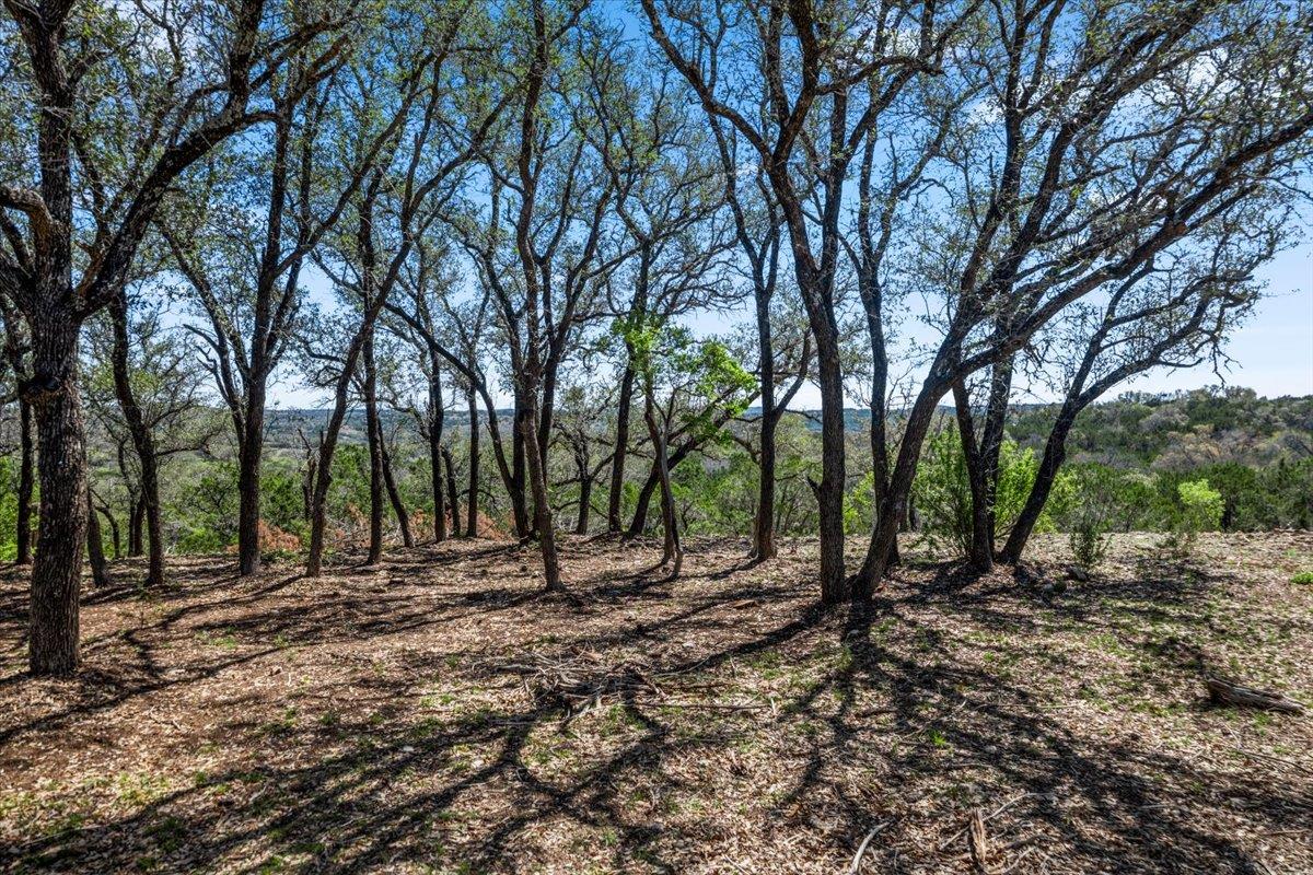 25723 Hamilton Pool Rd Property Photo 27