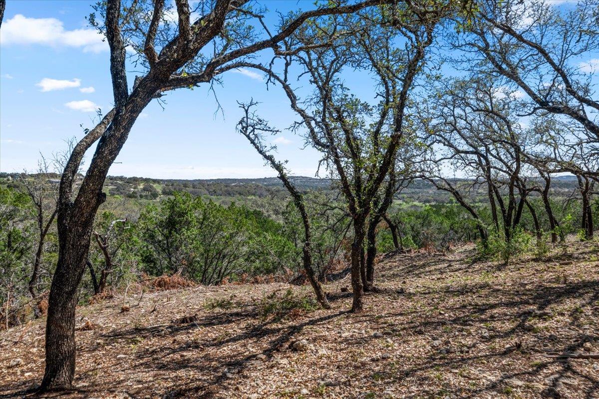 25723 Hamilton Pool Rd Property Photo 29