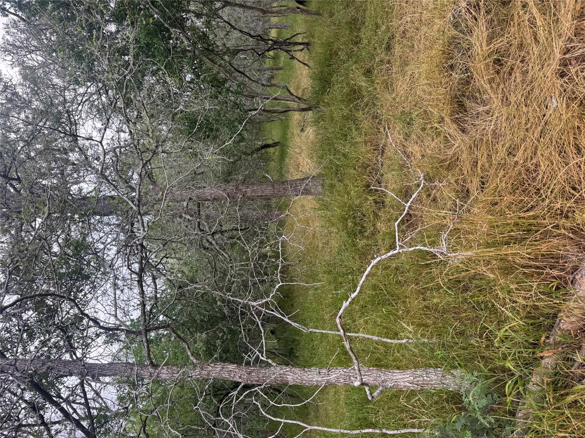 109 Hauula Ct Property Photo 3