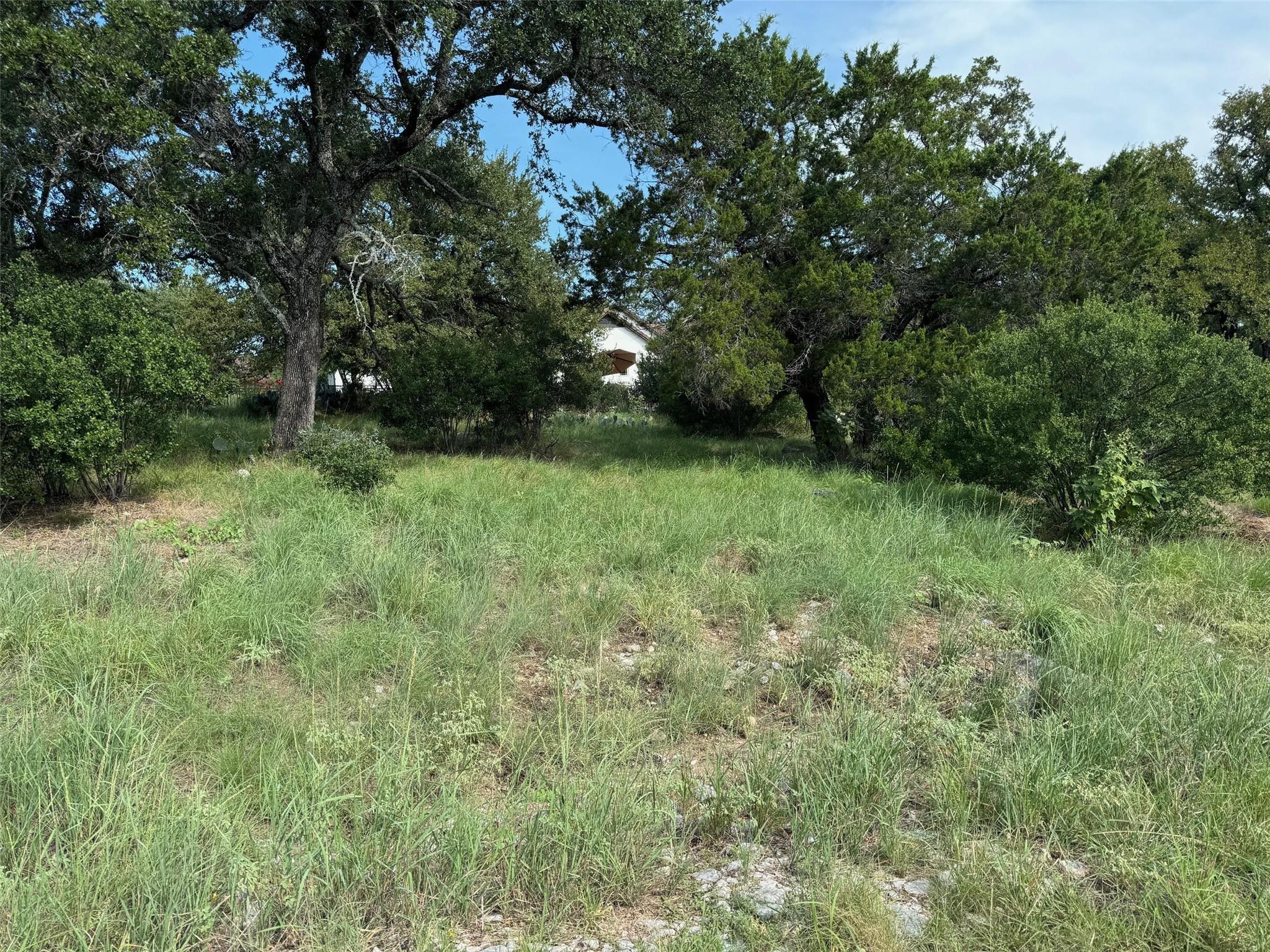 Lot 44002A Mountain Dew ST Property Photo 1