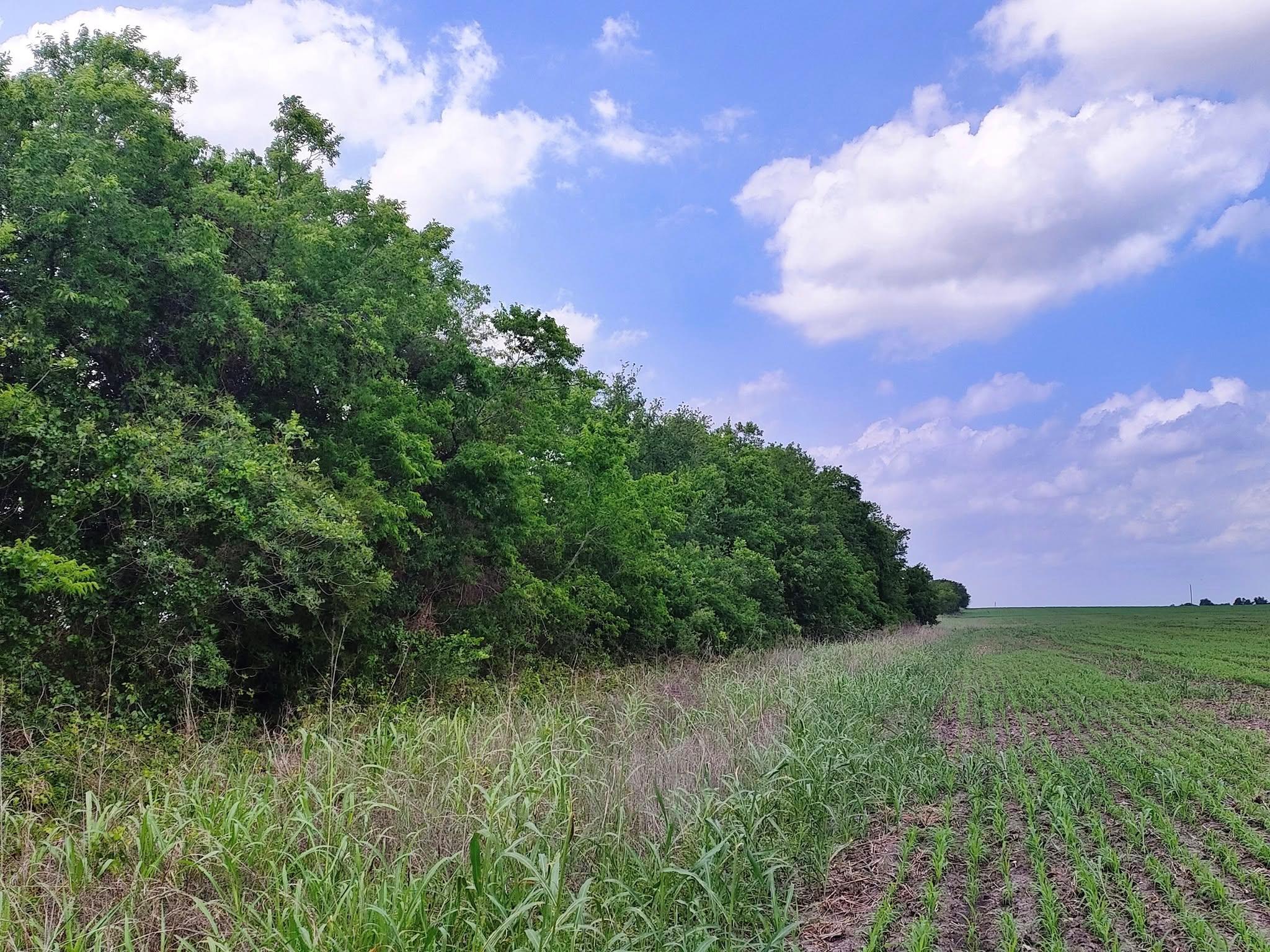Tbd Fm 3061 None Property Photo 1