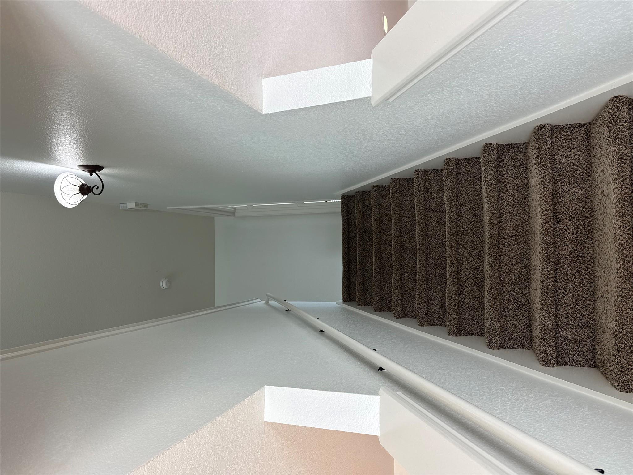 2114 Cottontail Dr Property Photo 11