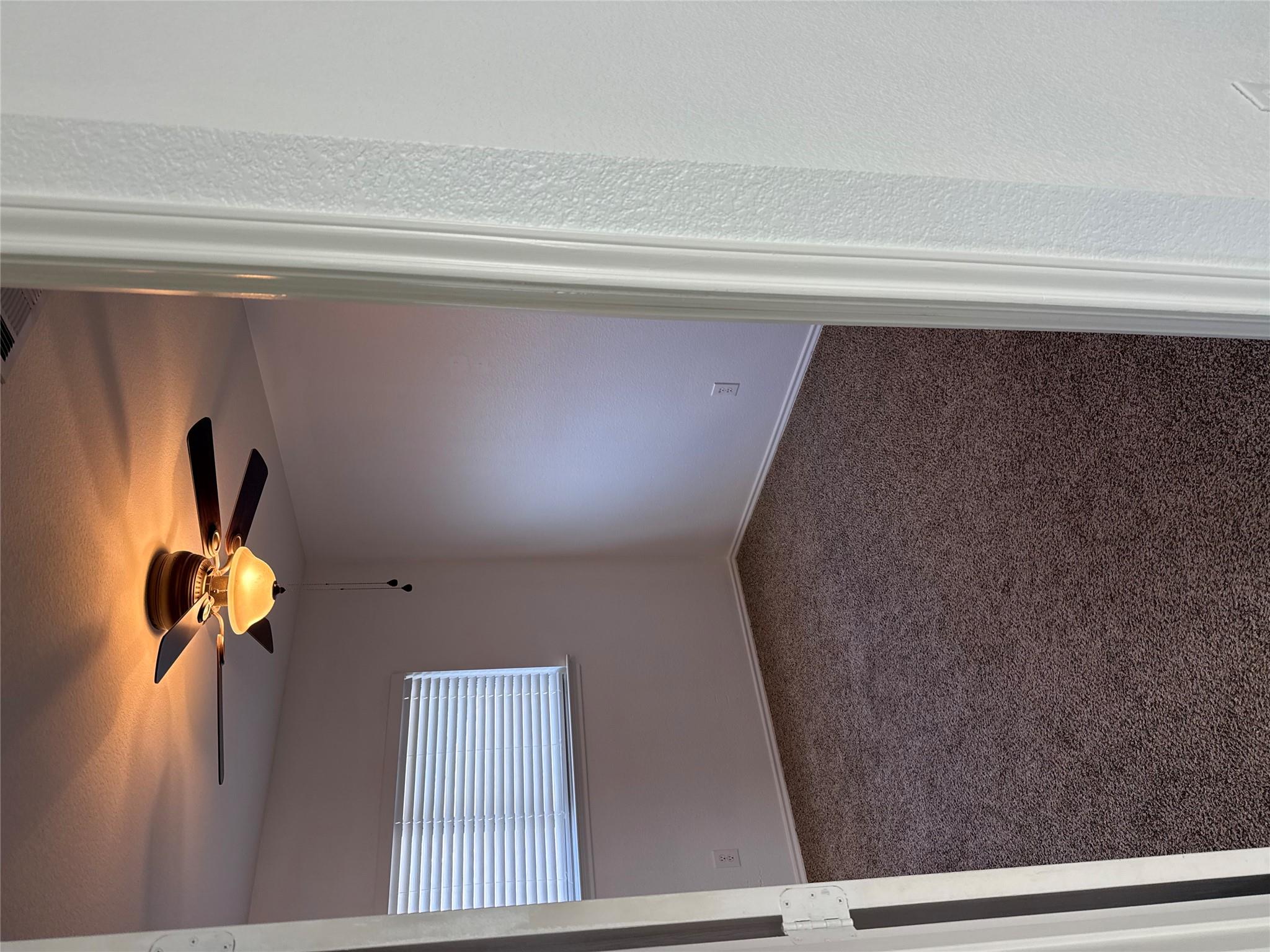 2114 Cottontail Dr Property Photo 15