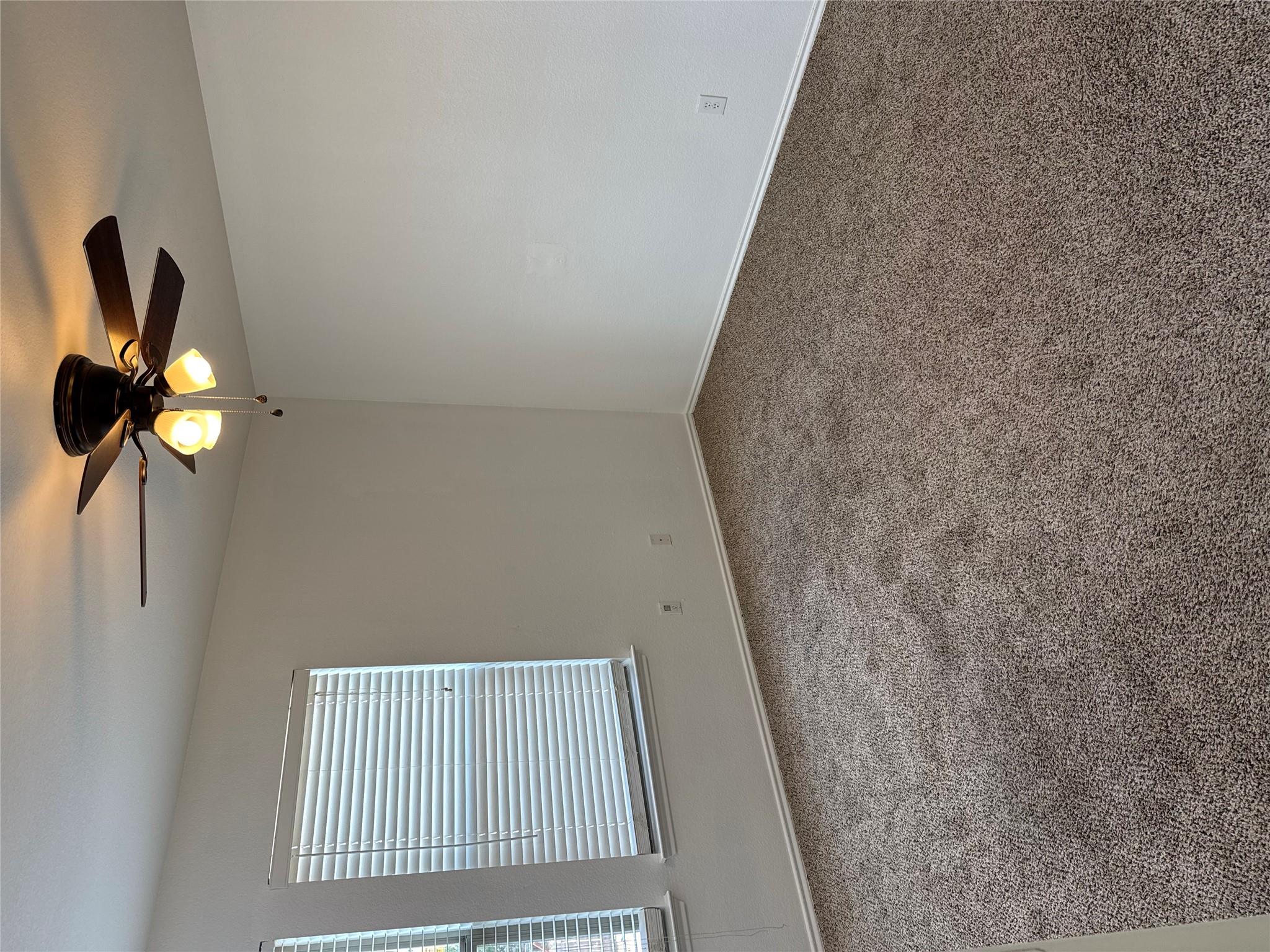 2114 Cottontail Dr Property Photo 16