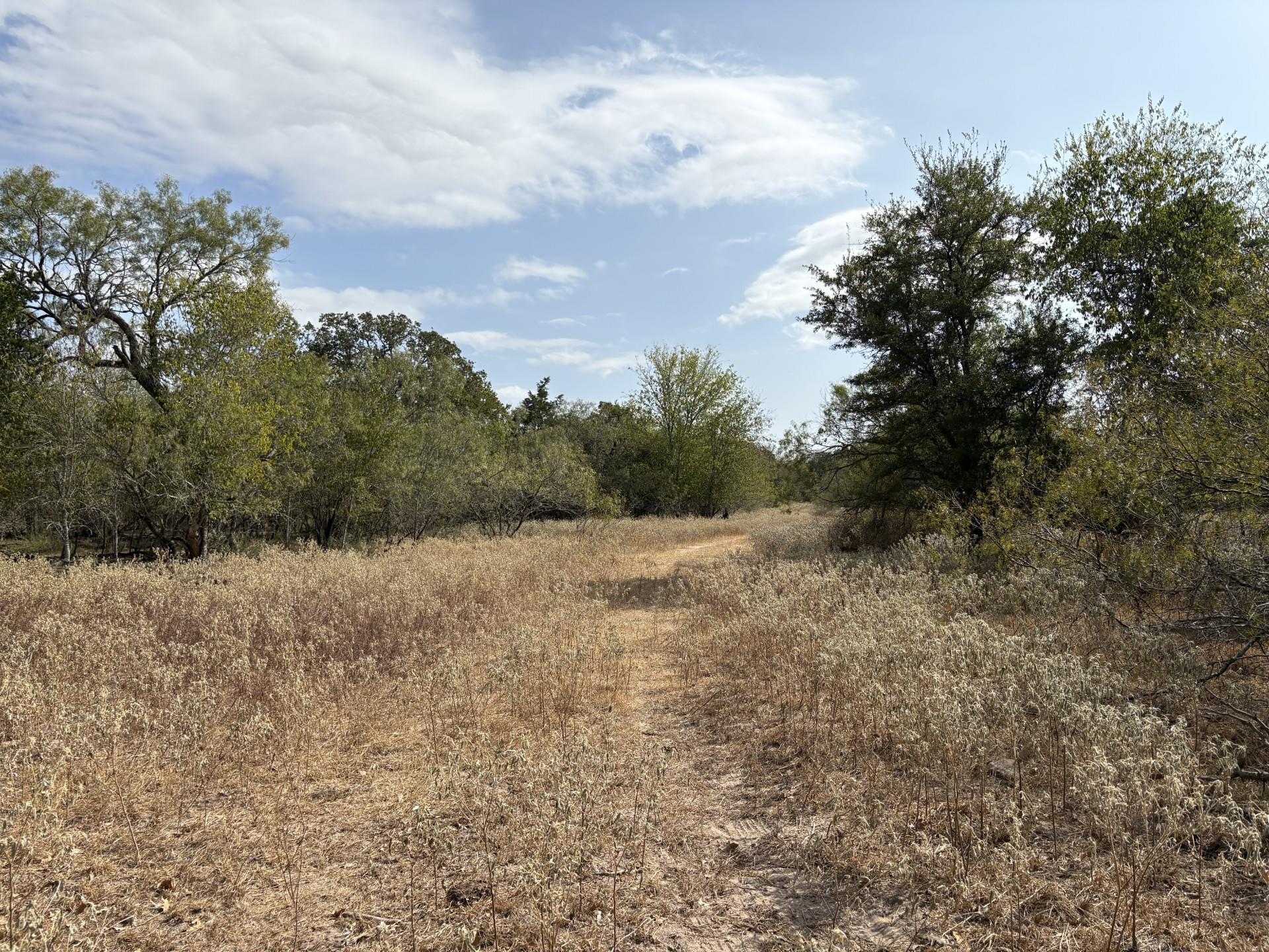 TBD 207.5 +/- ACRES ANCHOR RANCH Loop