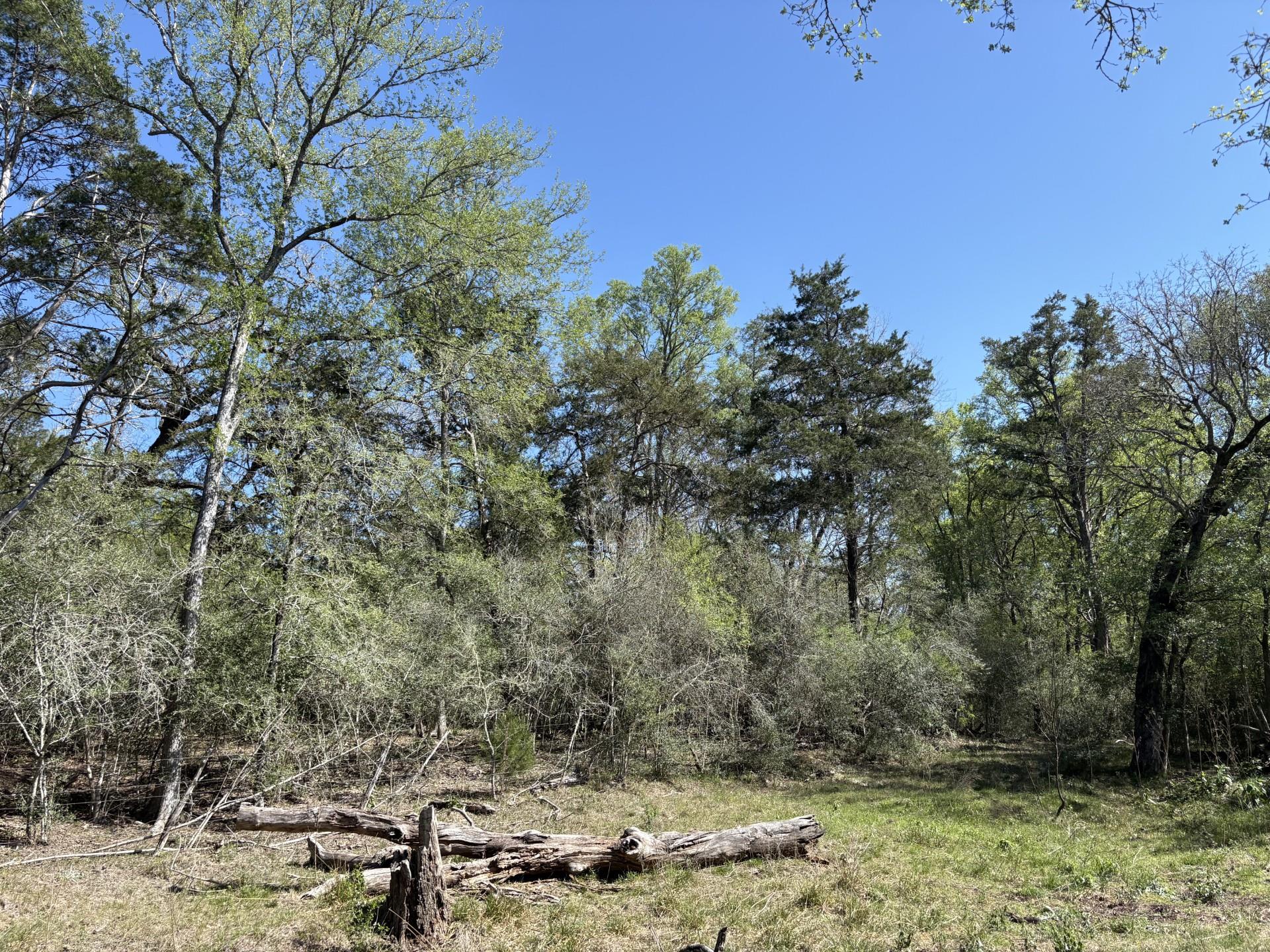 Tbd Anchor Ranch Loop Property Photo 11