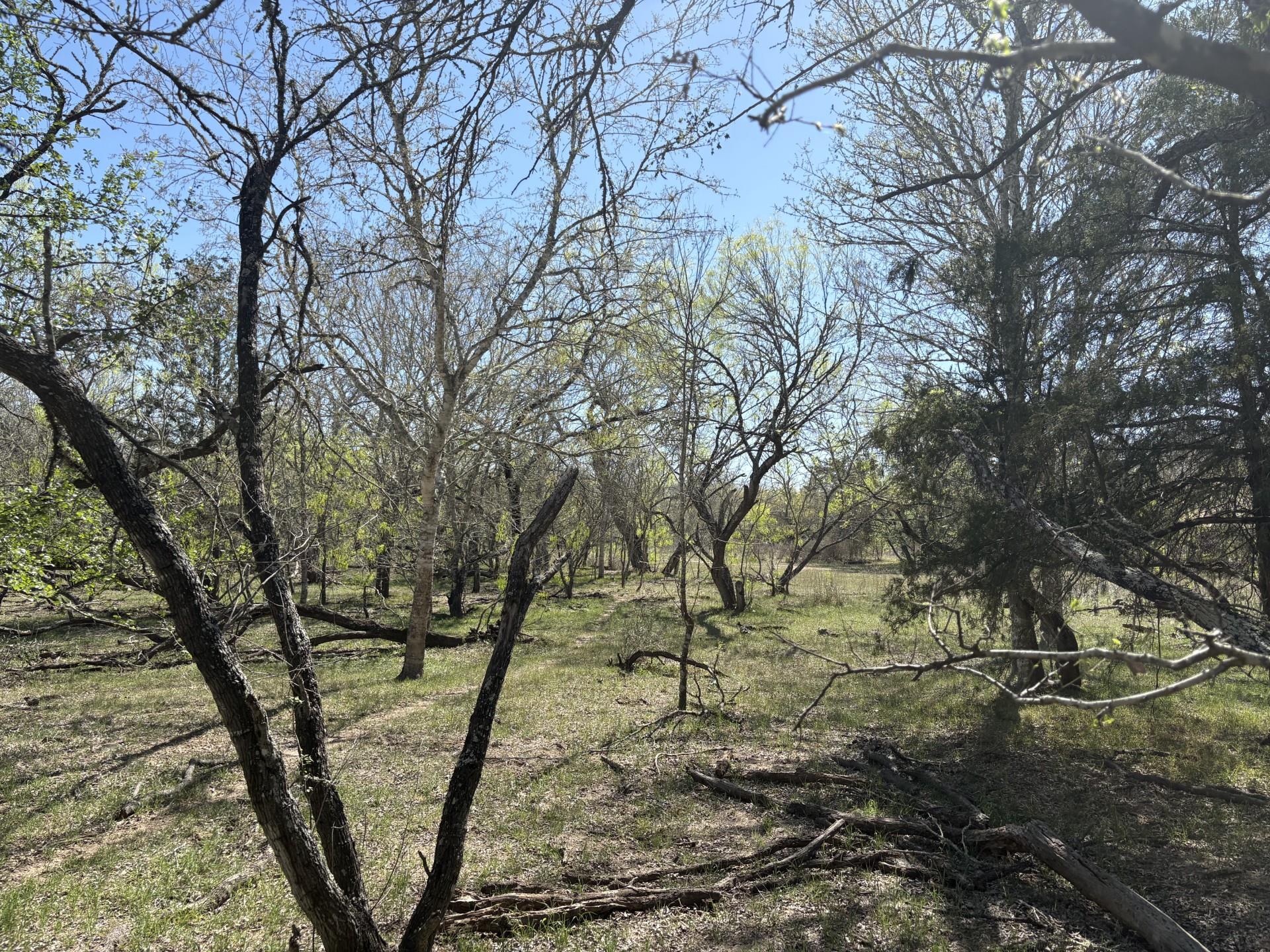 Tbd Anchor Ranch Loop Property Photo 12