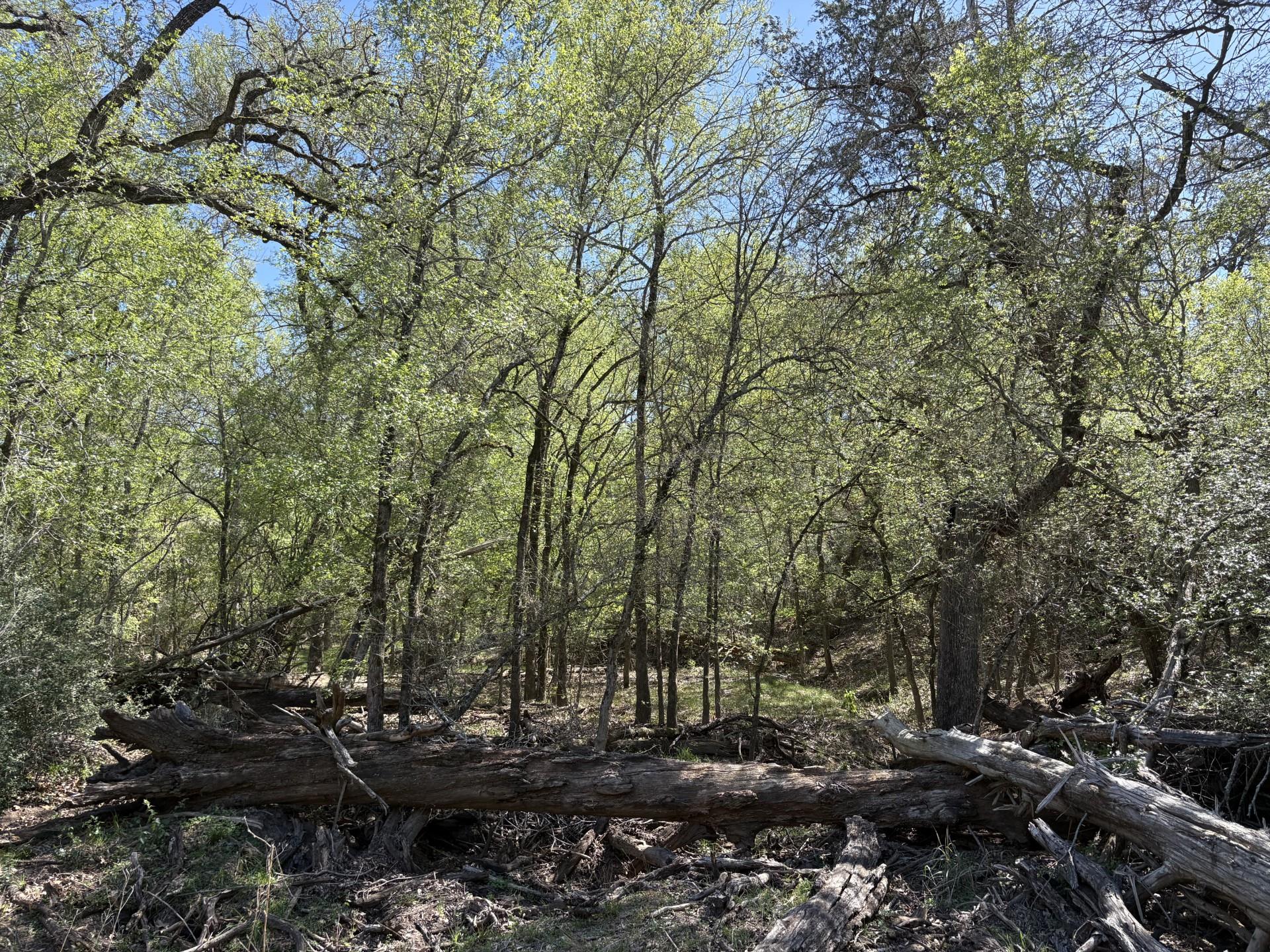 Tbd Anchor Ranch Loop Property Photo 13