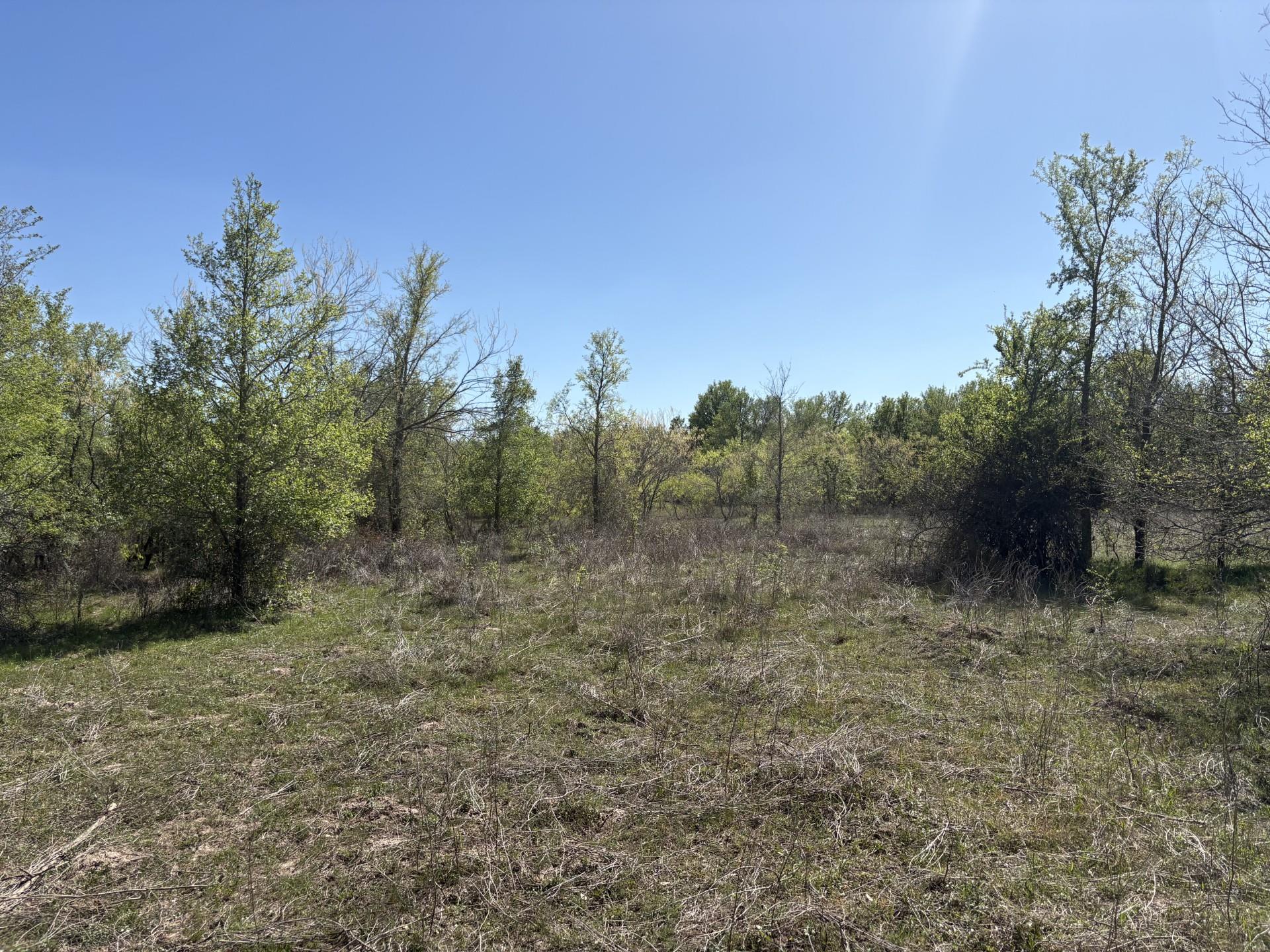Tbd Anchor Ranch Loop Property Photo 19