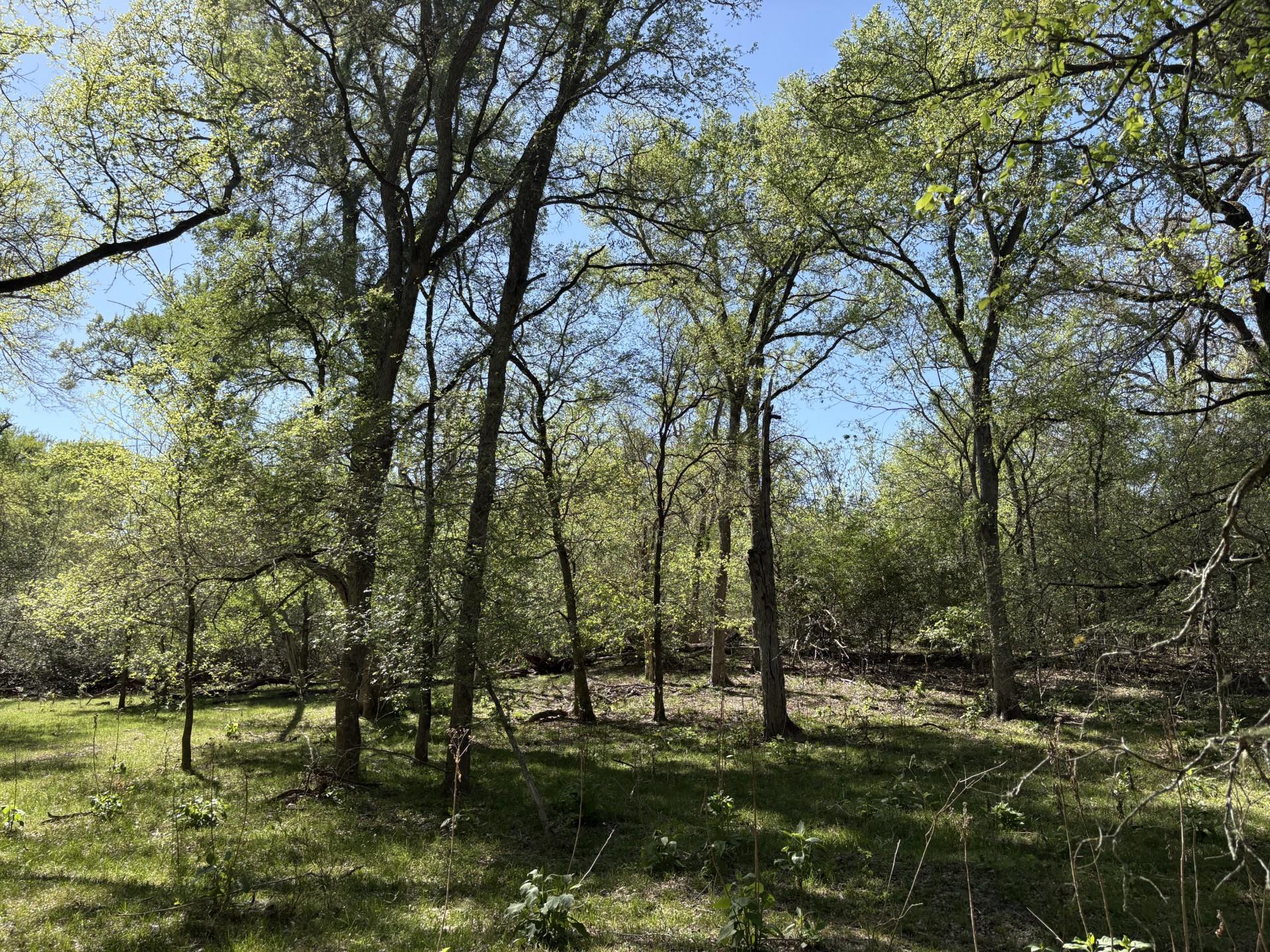 Tbd Anchor Ranch Loop Property Photo 21