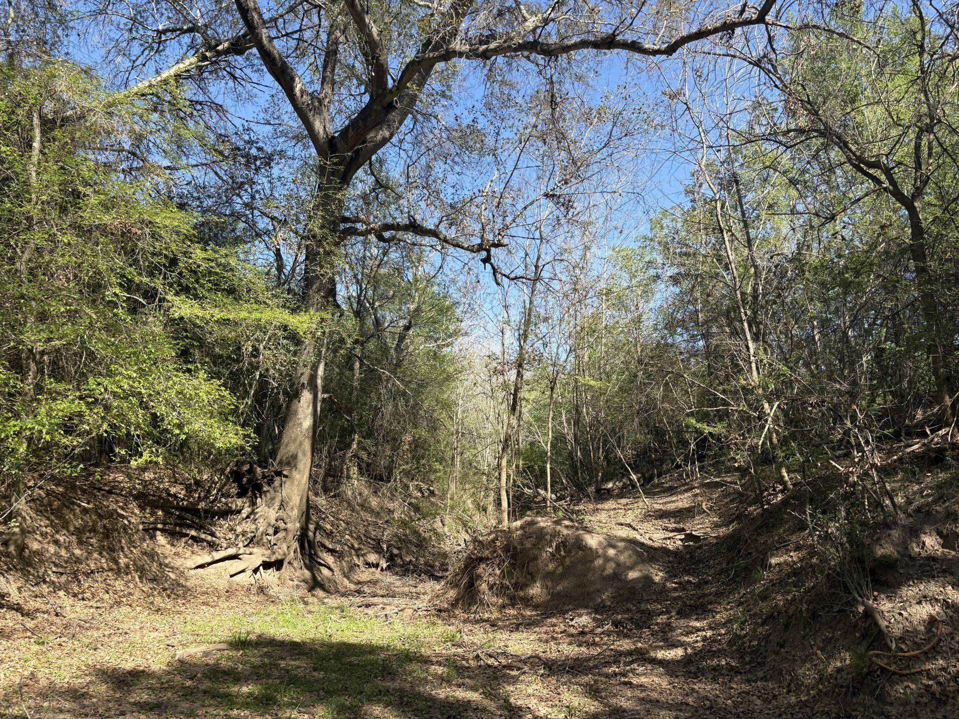 Tbd Anchor Ranch Loop Property Photo 23