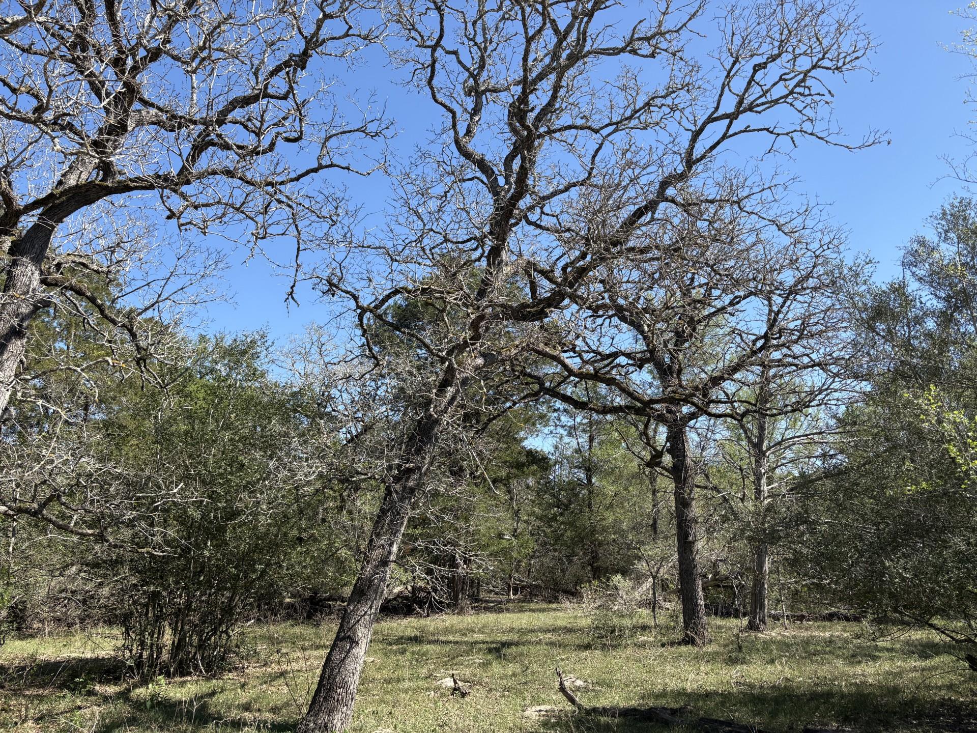 Tbd Anchor Ranch Loop Property Photo 26