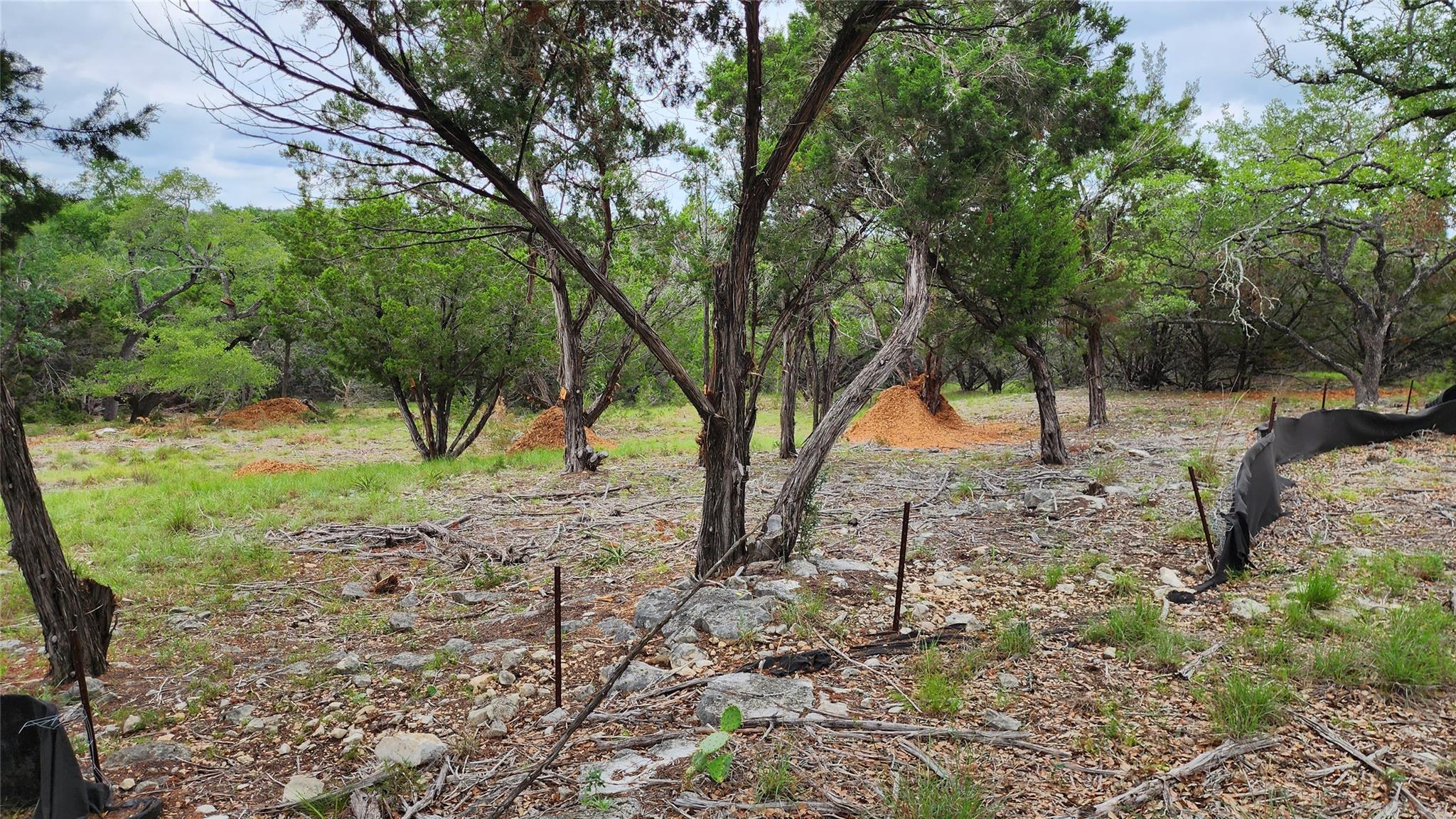 170 Night Wrangler Ln Property Photo 3