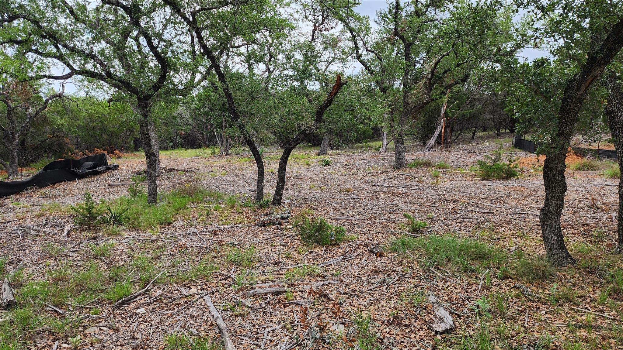 170 Night Wrangler Ln Property Photo 4