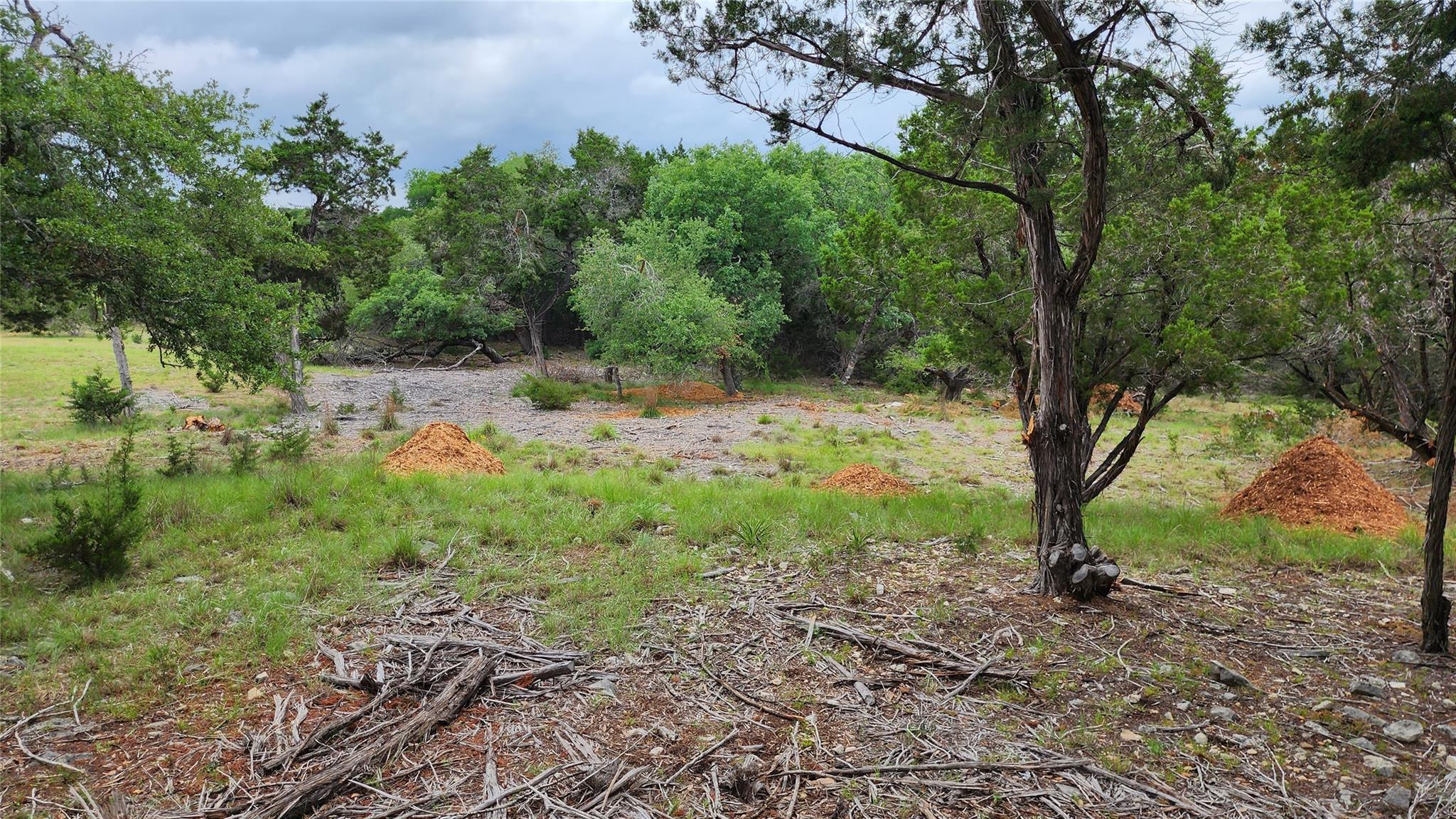 170 Night Wrangler Ln Property Photo 5