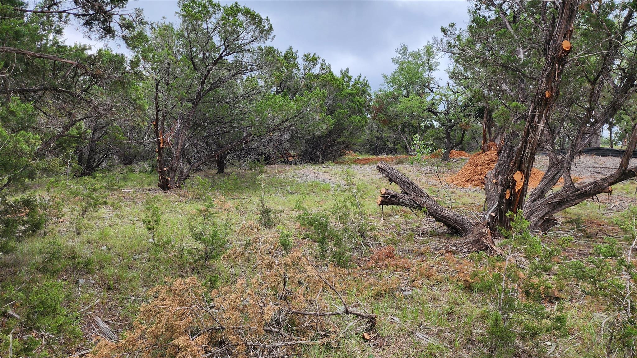 170 Night Wrangler Ln Property Photo 7