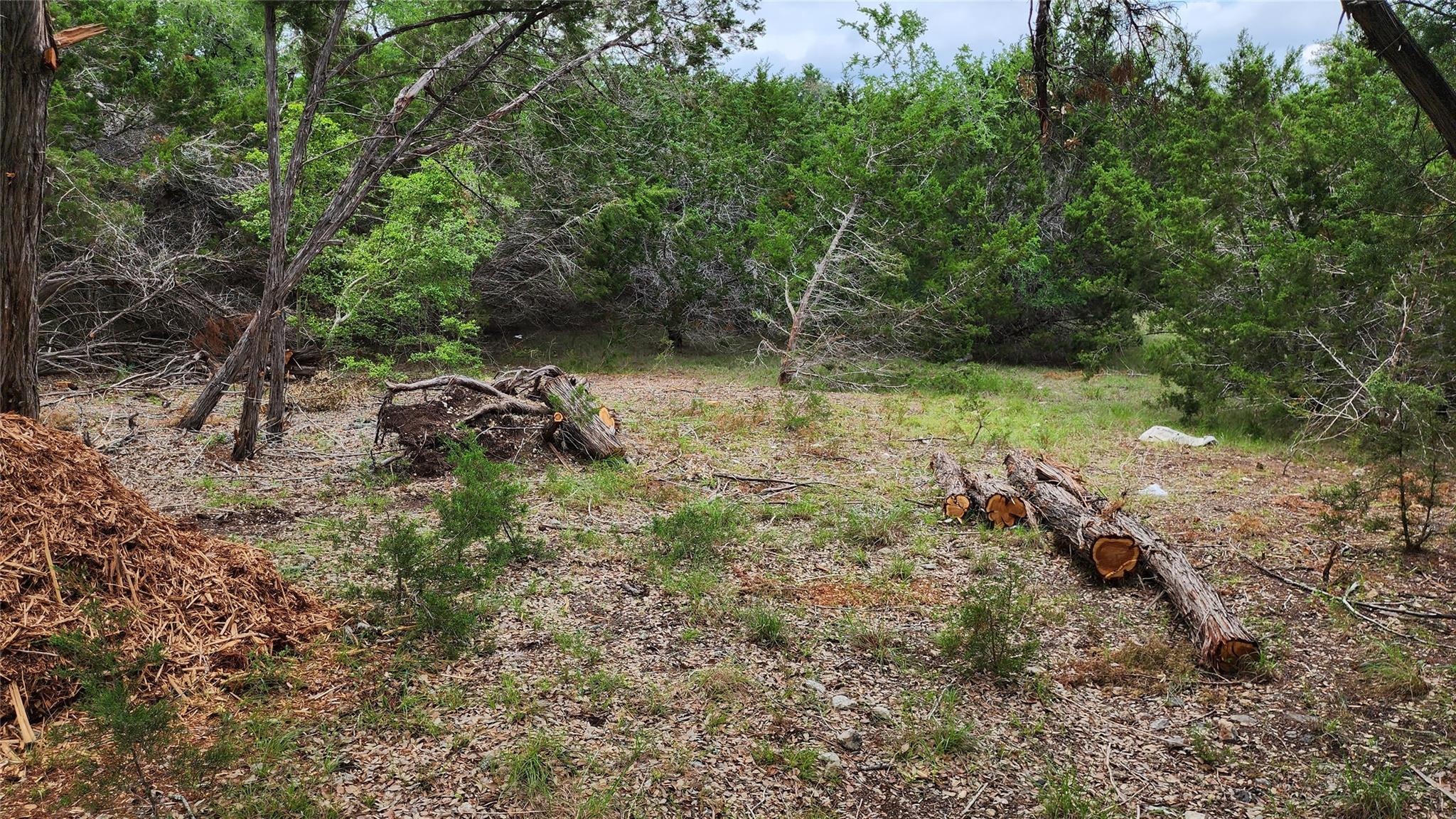 170 Night Wrangler Ln Property Photo 8