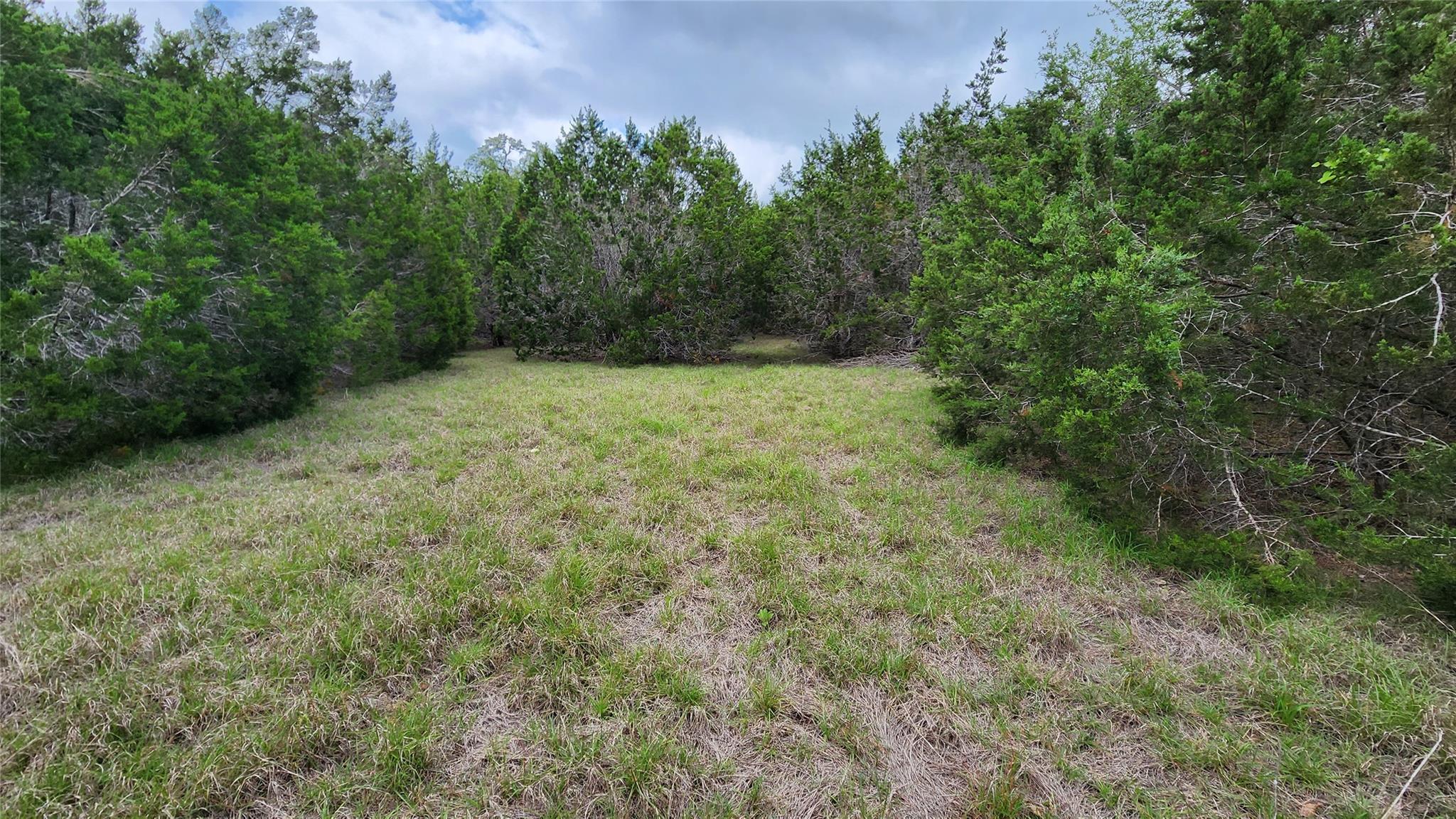 170 Night Wrangler Ln Property Photo 9