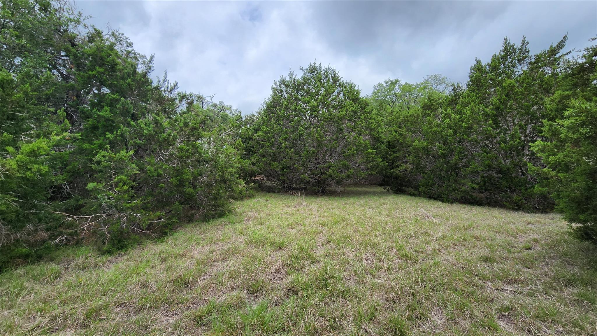 170 Night Wrangler Ln Property Photo 10