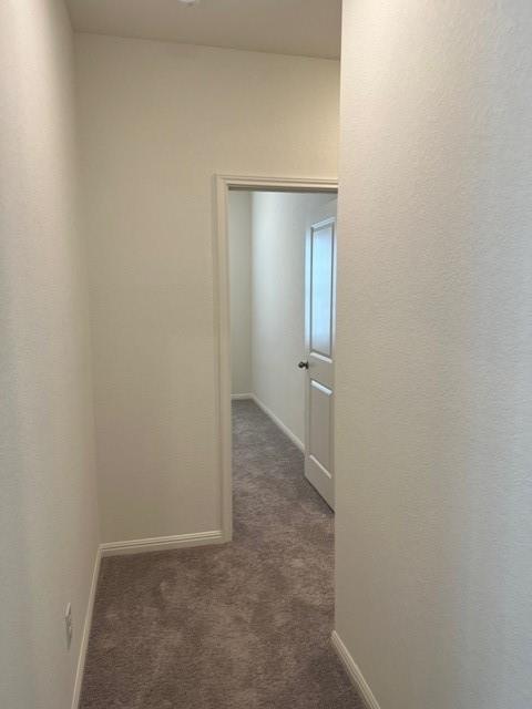 109 Mouflon Rd Property Photo 26