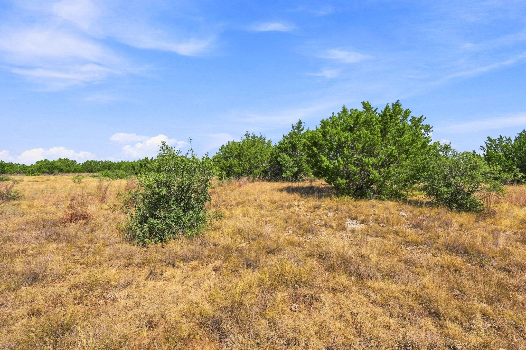 640 Sycamore Creek Dr Property Photo 8