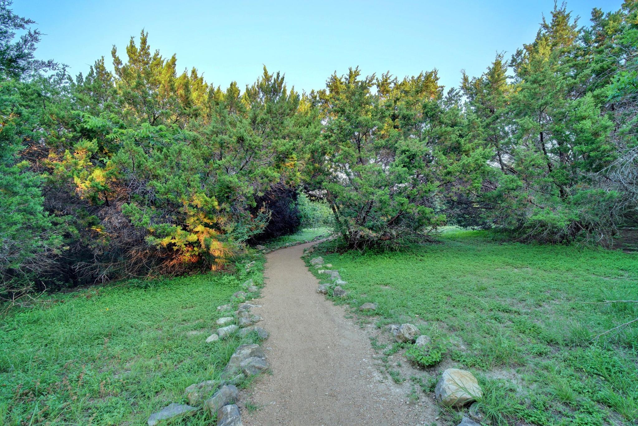 11101 Sierra Nevada Property Photo 36