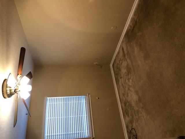 104 Leona St Property Photo 9