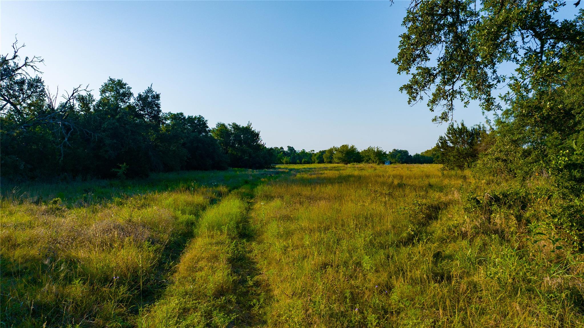 0 County Road 243 None Property Photo 26