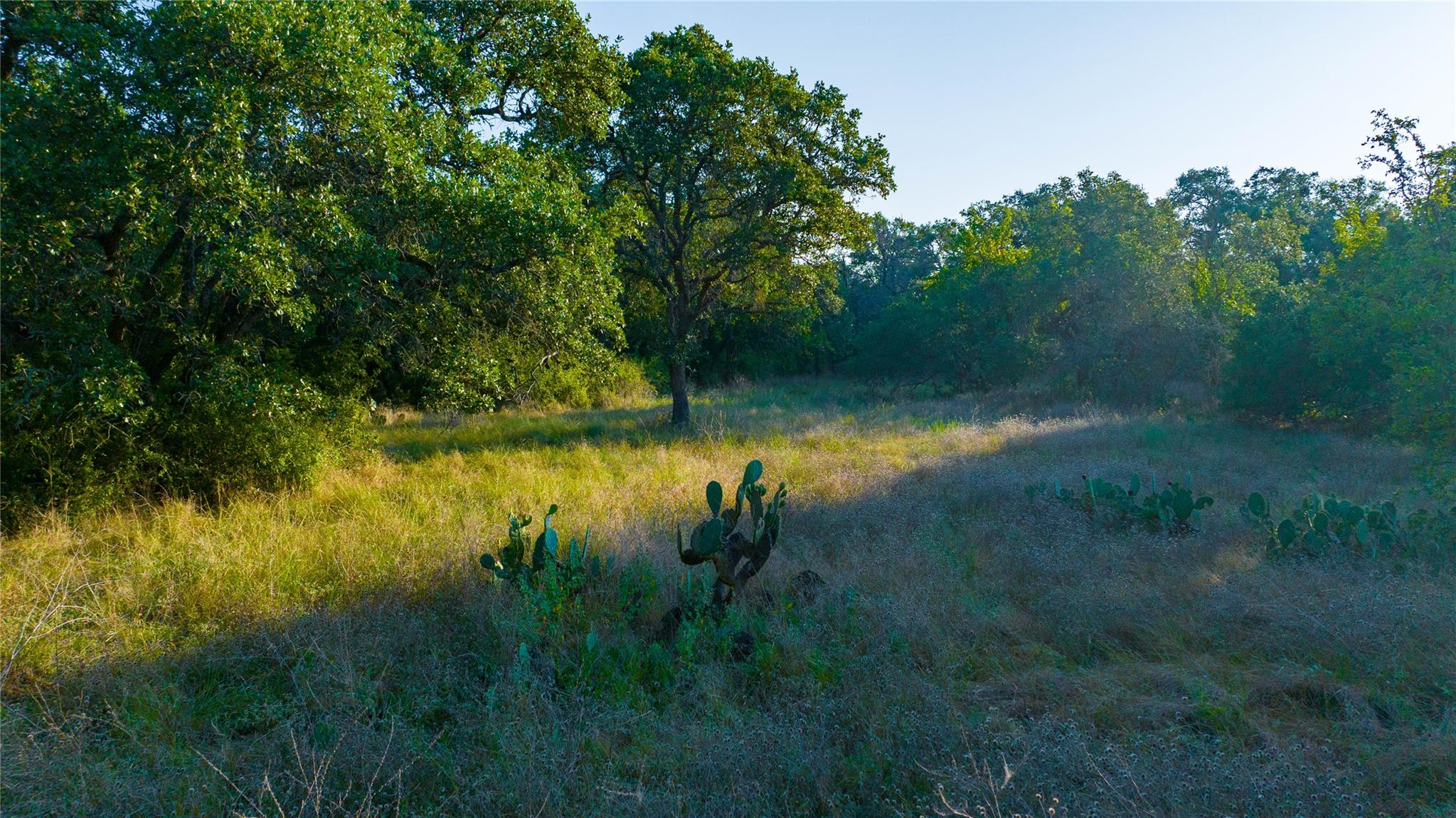 0 County Road 243 None Property Photo 31