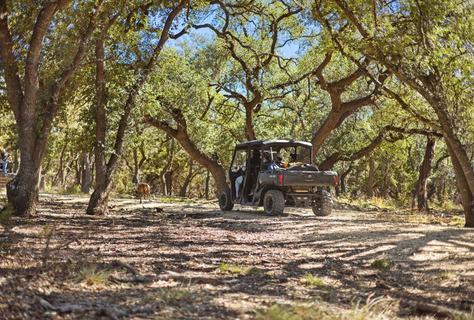 9265337 Property Photo 7