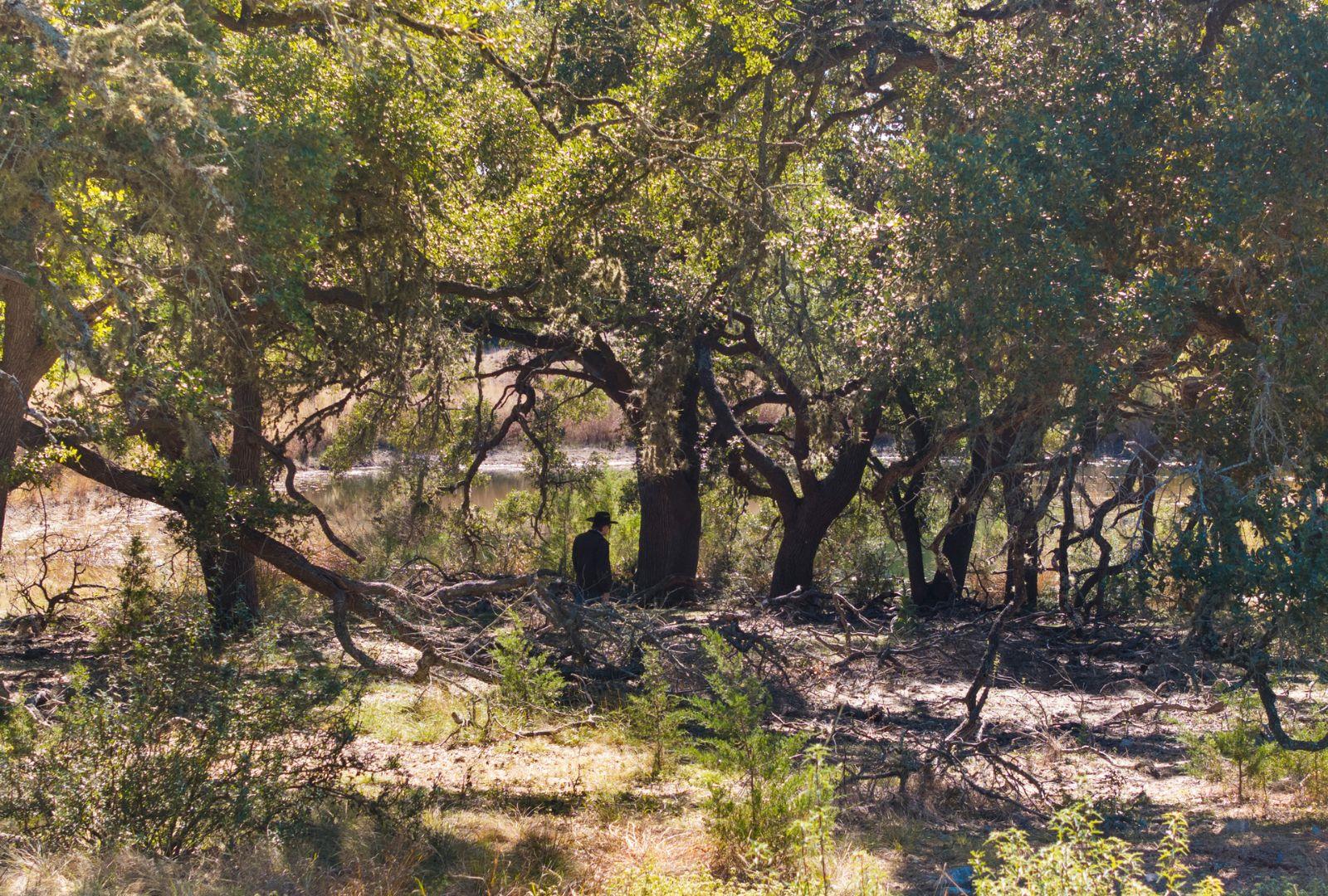 9265337 Property Photo 17
