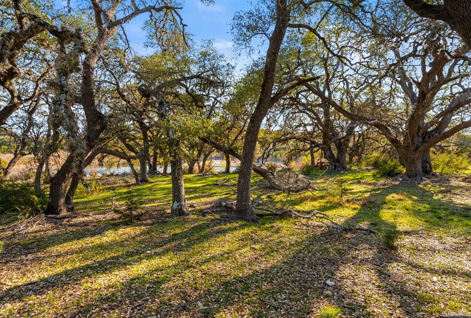 9265337 Property Photo 37
