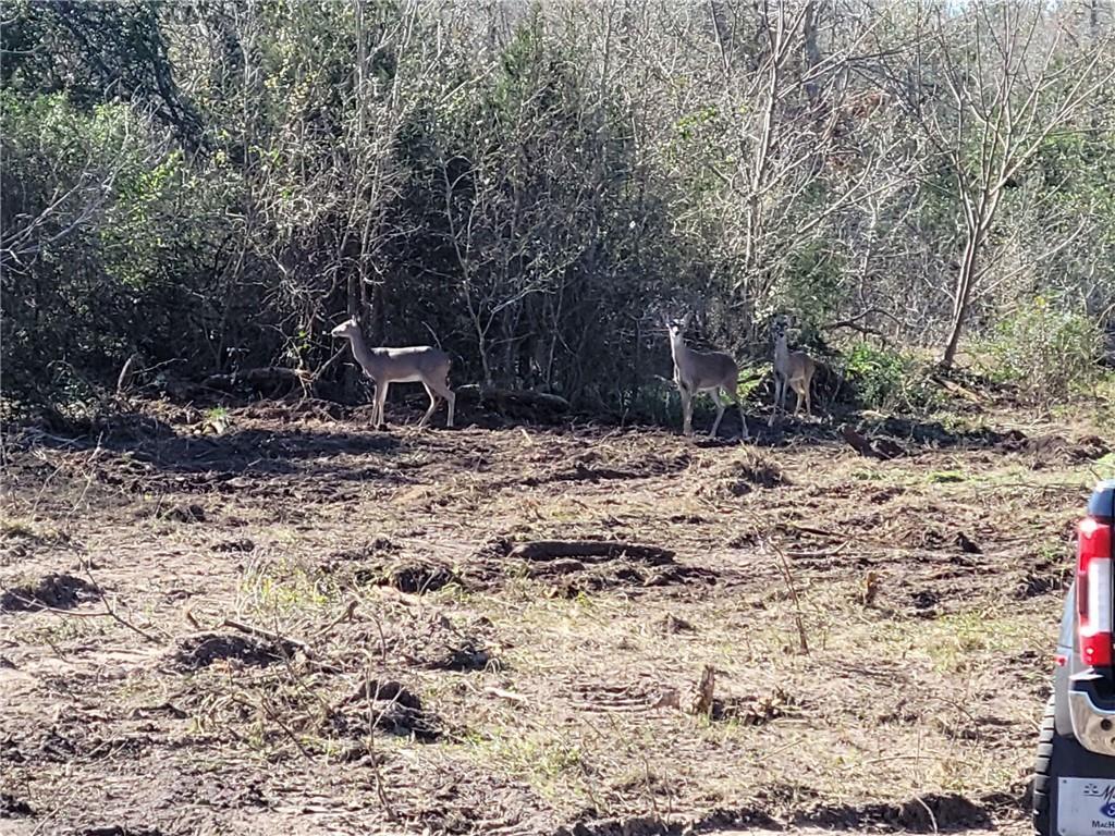 8530 Fm 153 None Property Photo 1