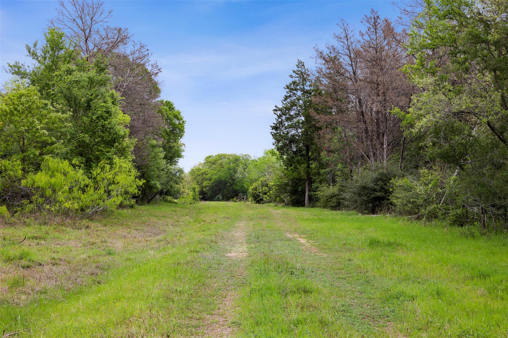 4822 Fm 1624 Rd Property Photo 1