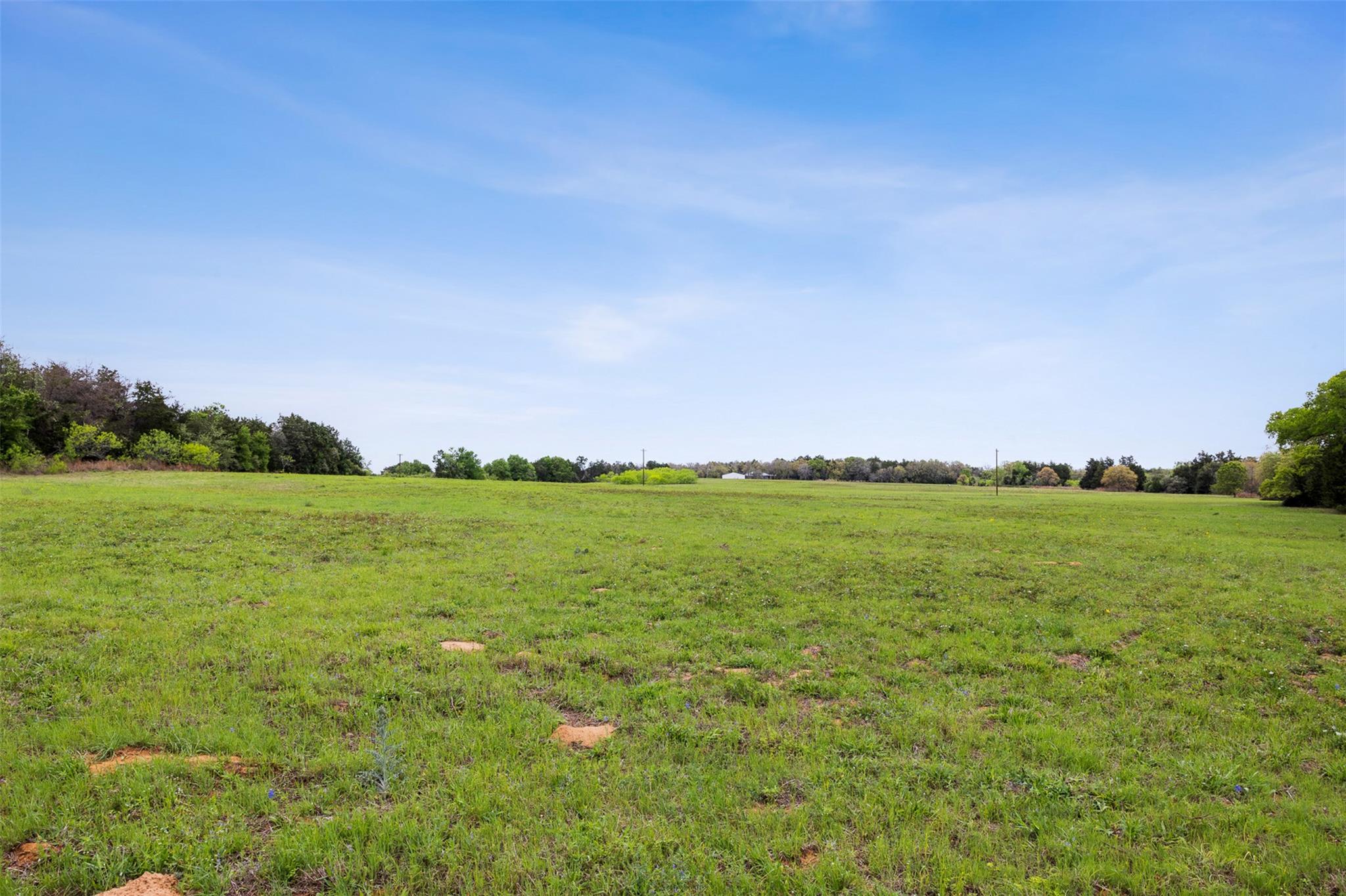 4822 Fm 1624 Rd Property Photo 2