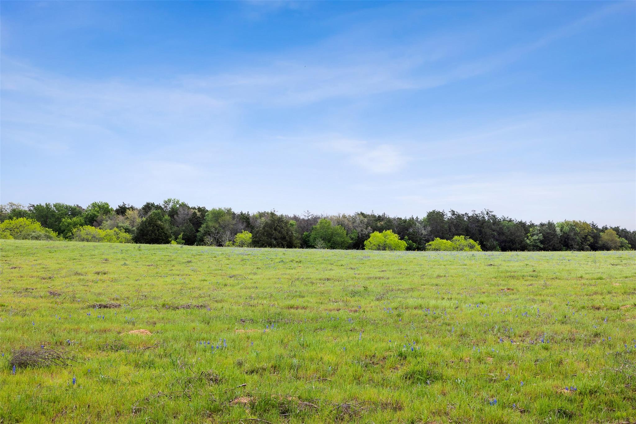 4822 Fm 1624 Rd Property Photo 3
