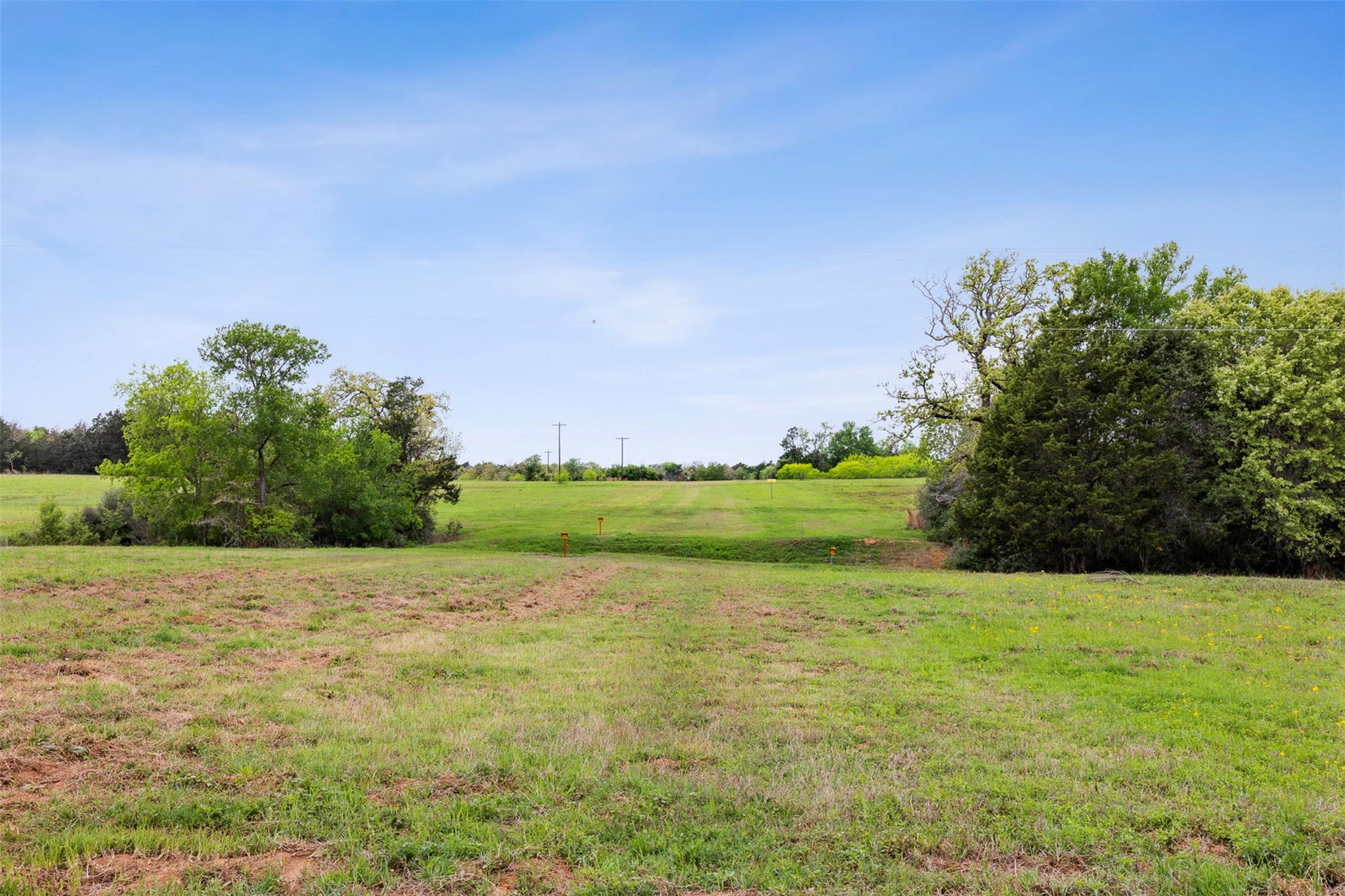 4822 Fm 1624 Rd Property Photo 6