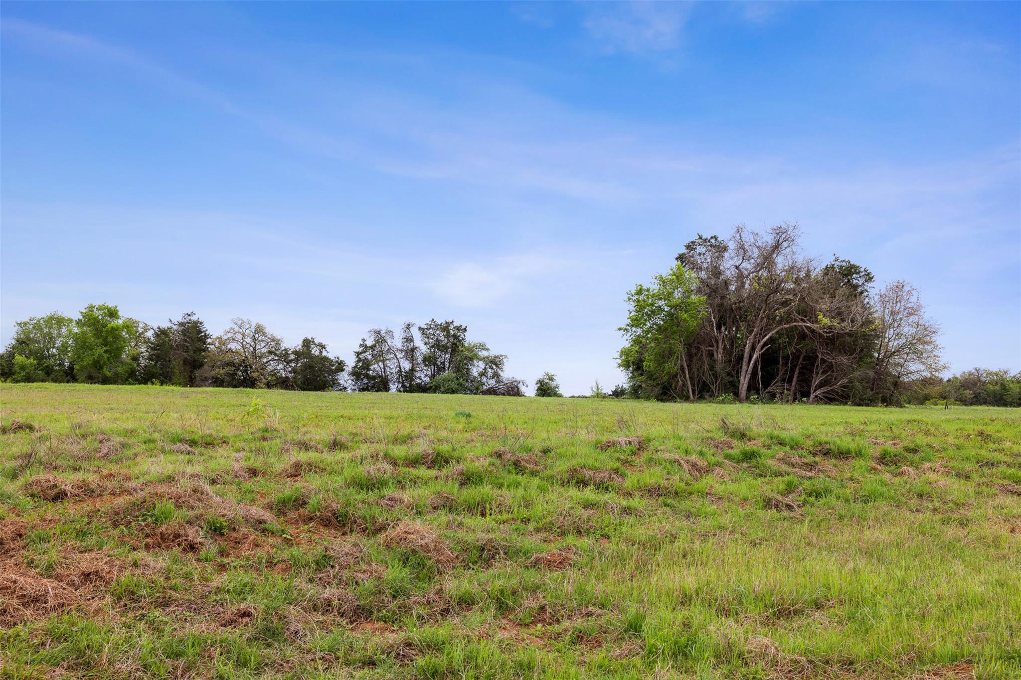 4822 Fm 1624 Rd Property Photo 7