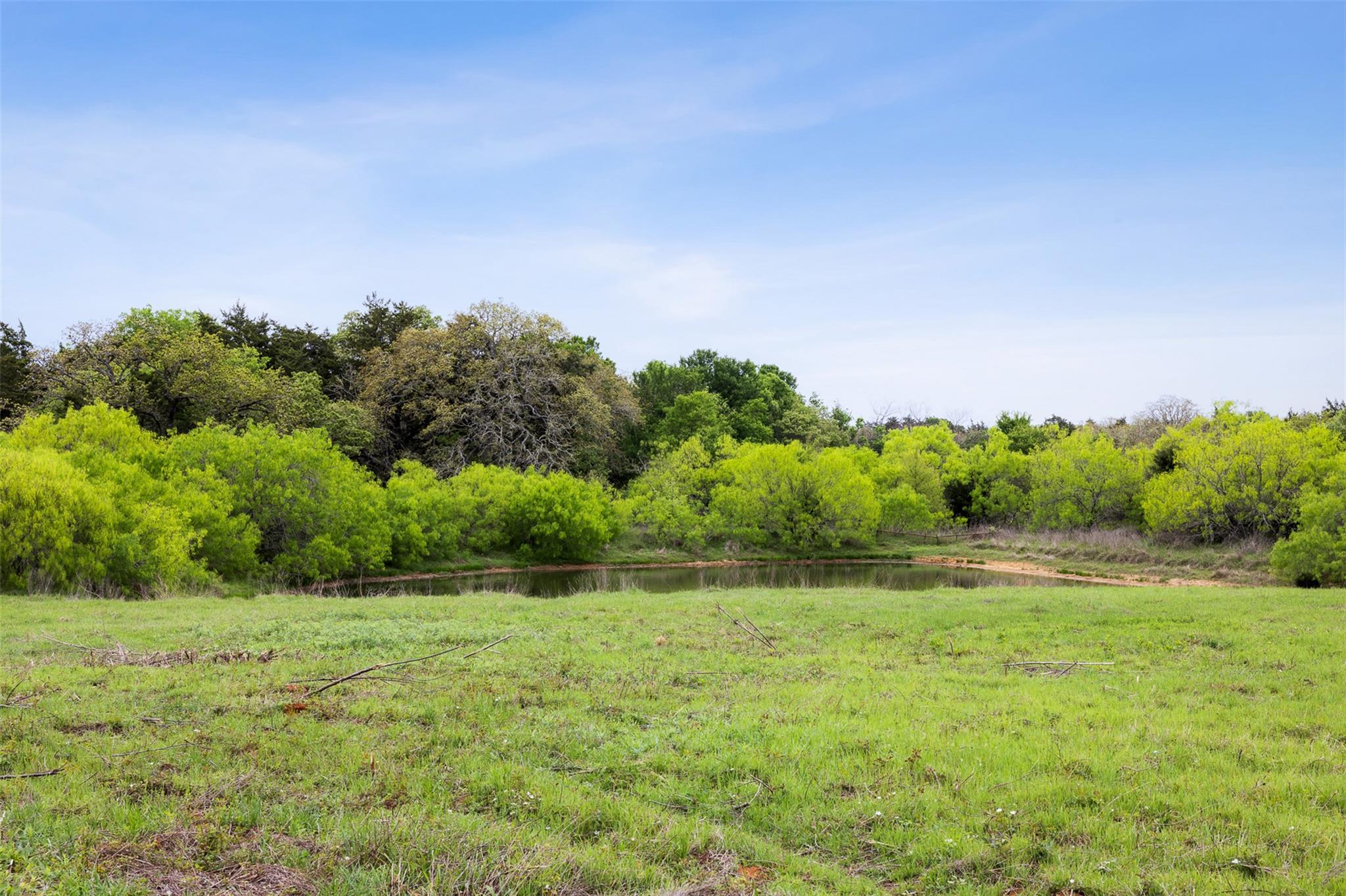 4822 Fm 1624 Rd Property Photo 8