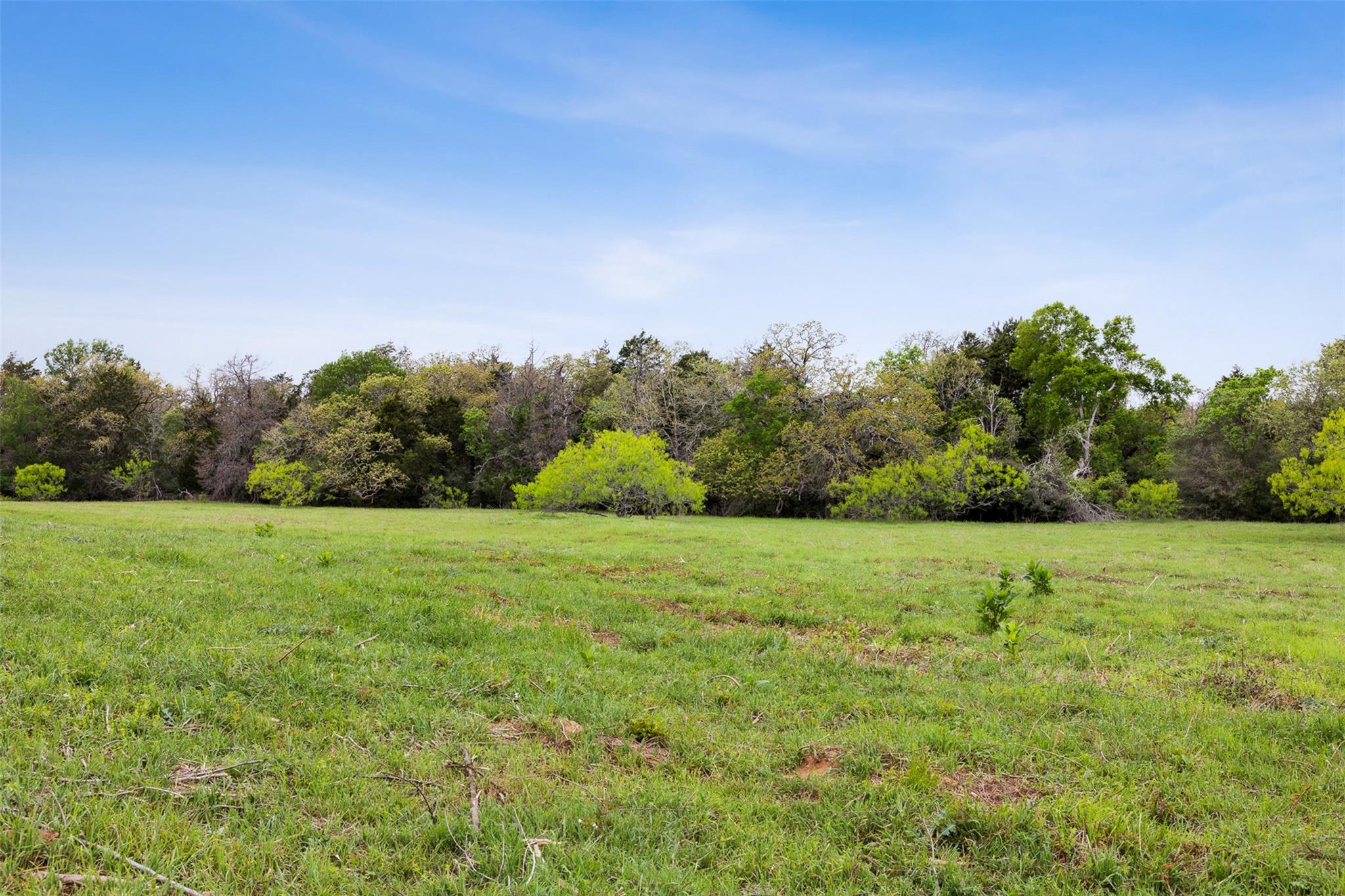 4822 Fm 1624 Rd Property Photo 9
