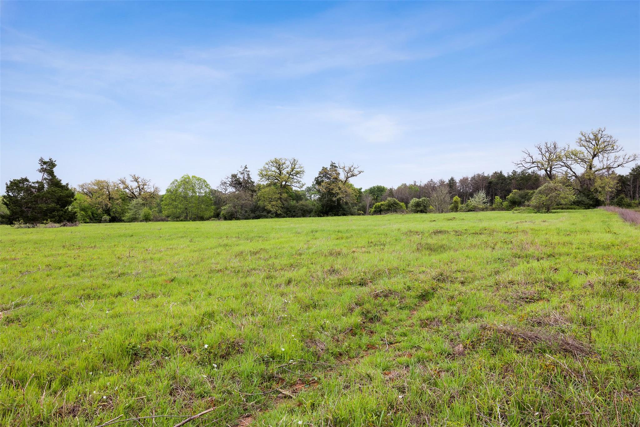 4822 Fm 1624 Rd Property Photo 10