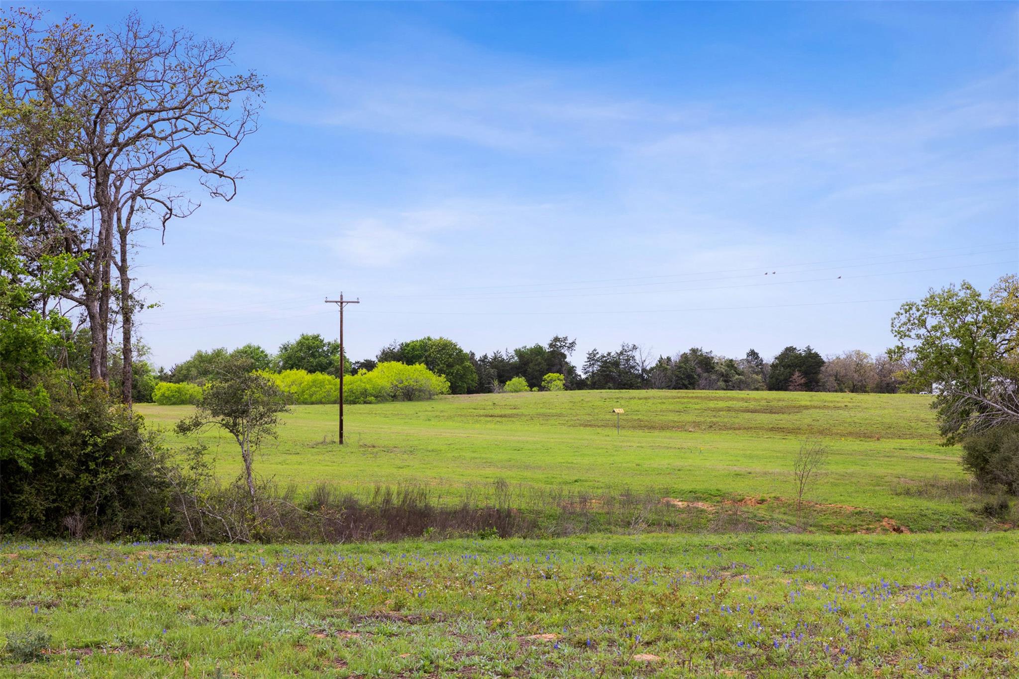 4822 Fm 1624 Rd Property Photo 11