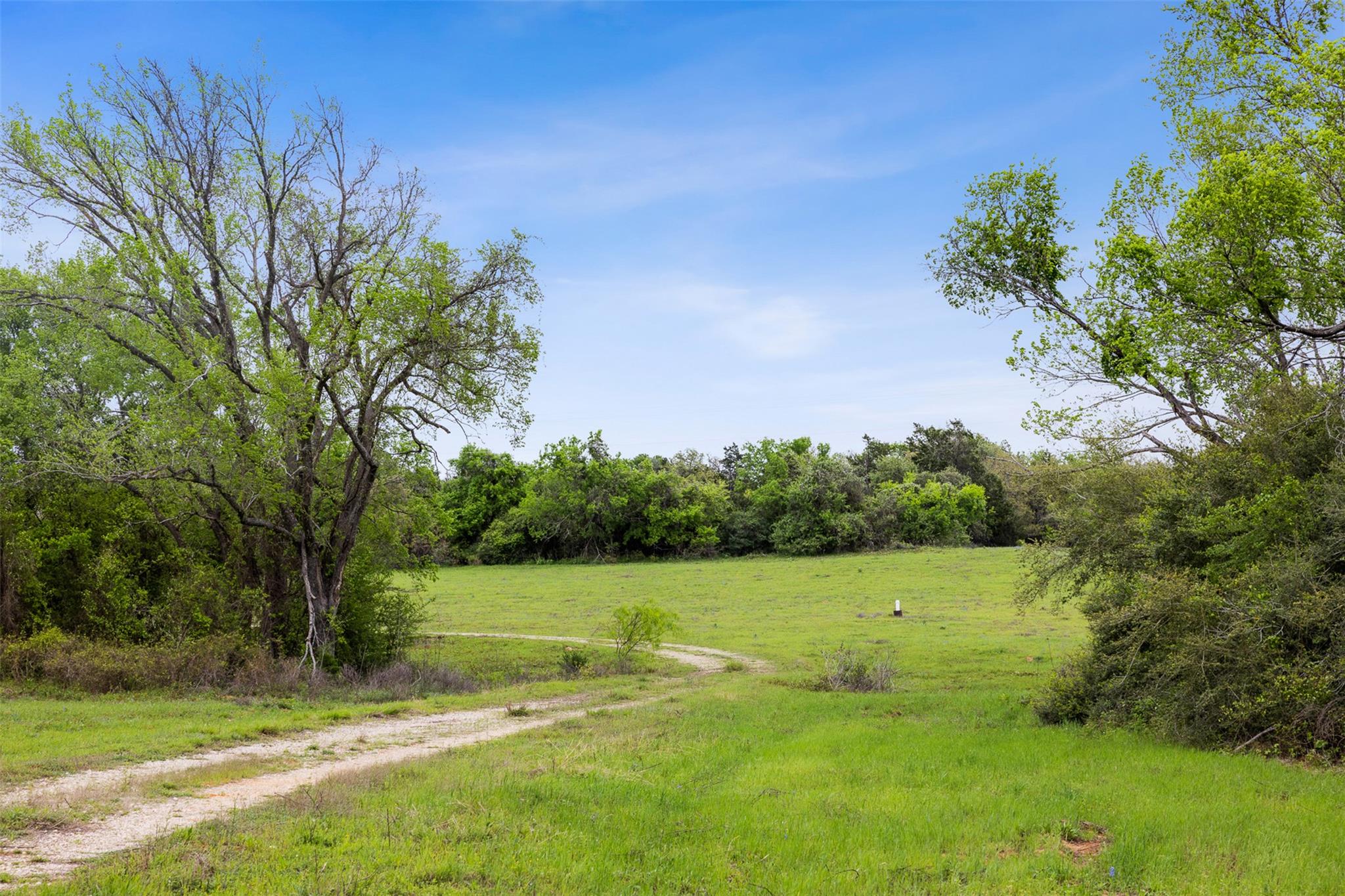 4822 Fm 1624 Rd Property Photo 14
