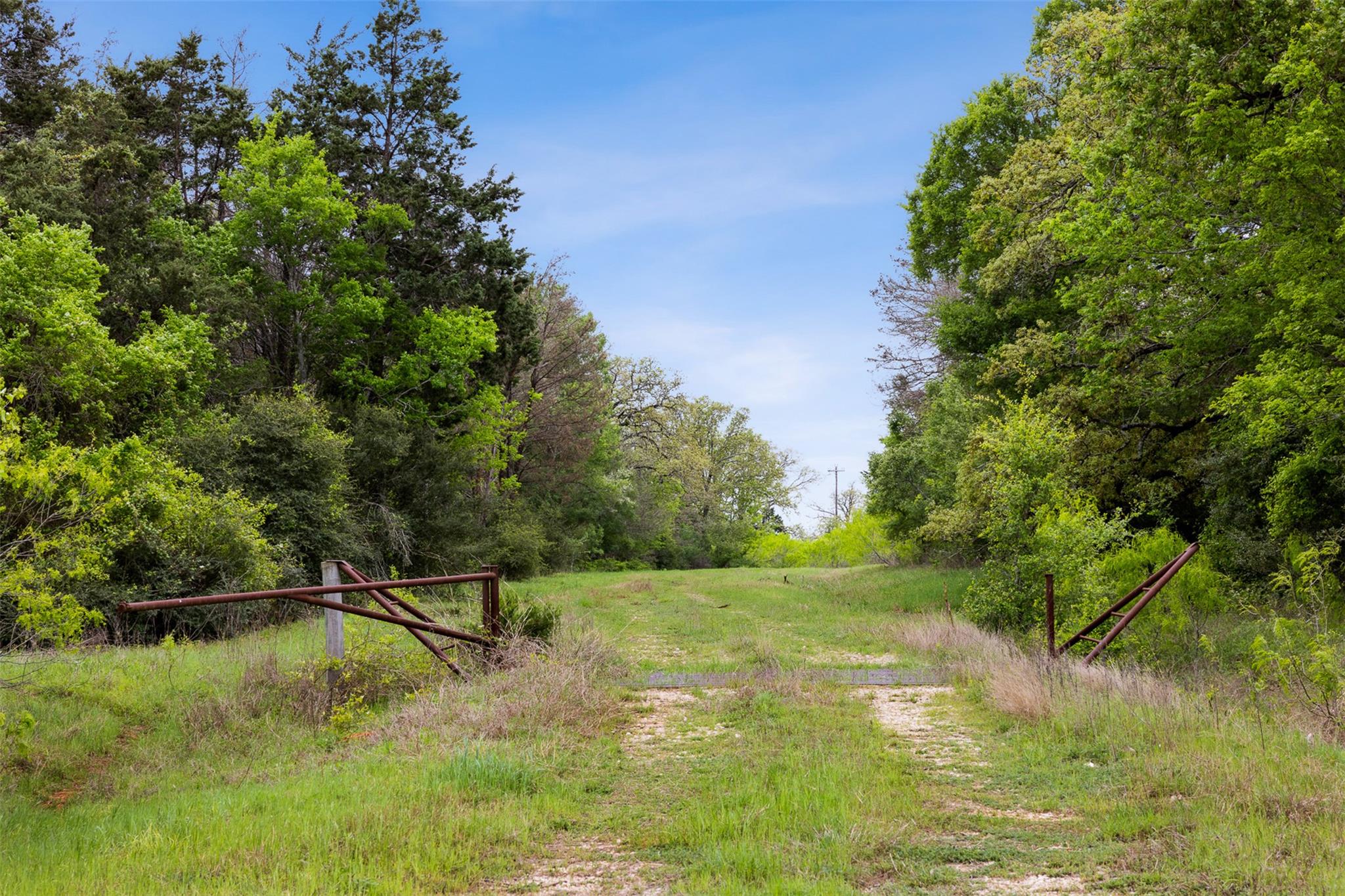 4822 Fm 1624 Rd Property Photo 15
