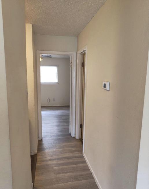 2609 Ektom Dr #d Property Photo 4