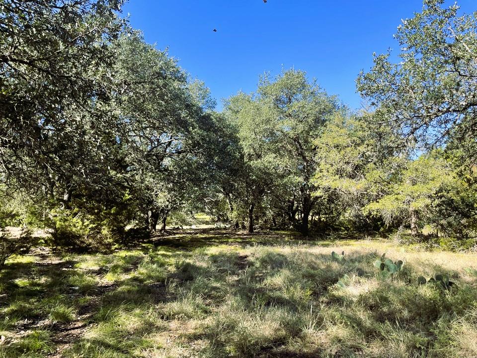 1276 Fm 574 None W Property Photo 1