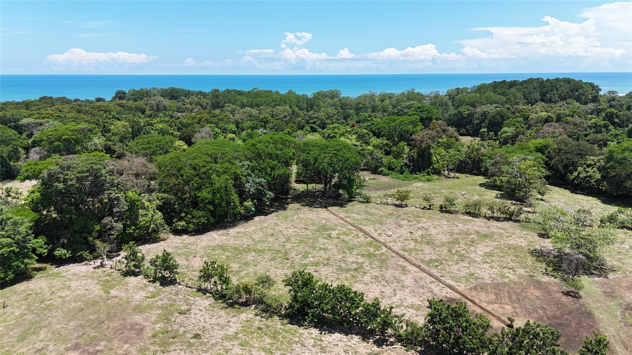 000 Prime Investment Opportunity - 107.75 Acres None Property Photo 6