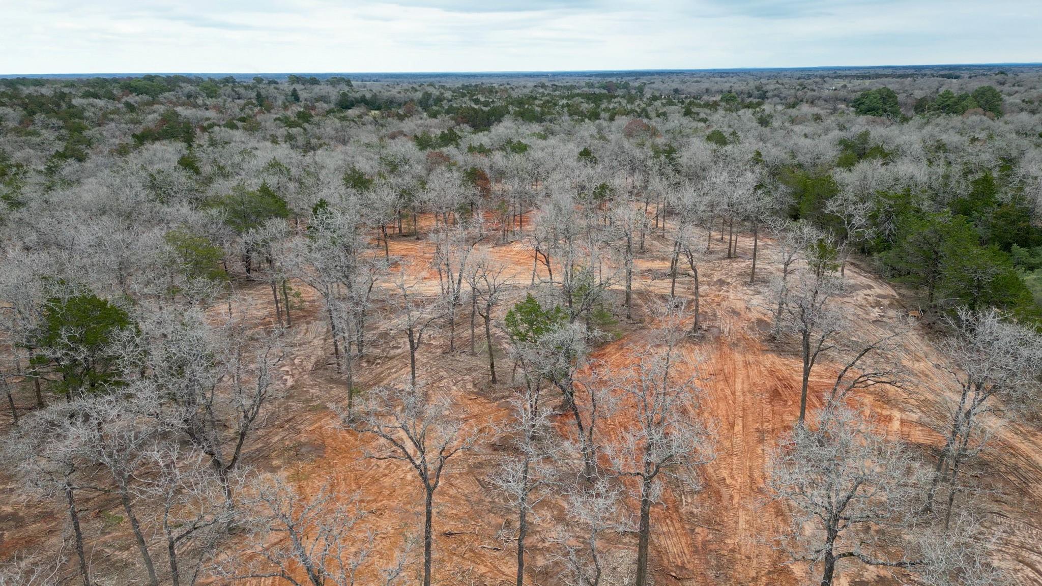 1559 Fm 535 Highway Property Photo 1