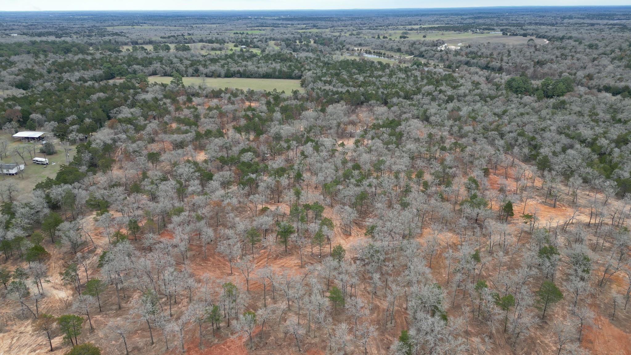 1559 Fm 535 Highway Property Photo 7